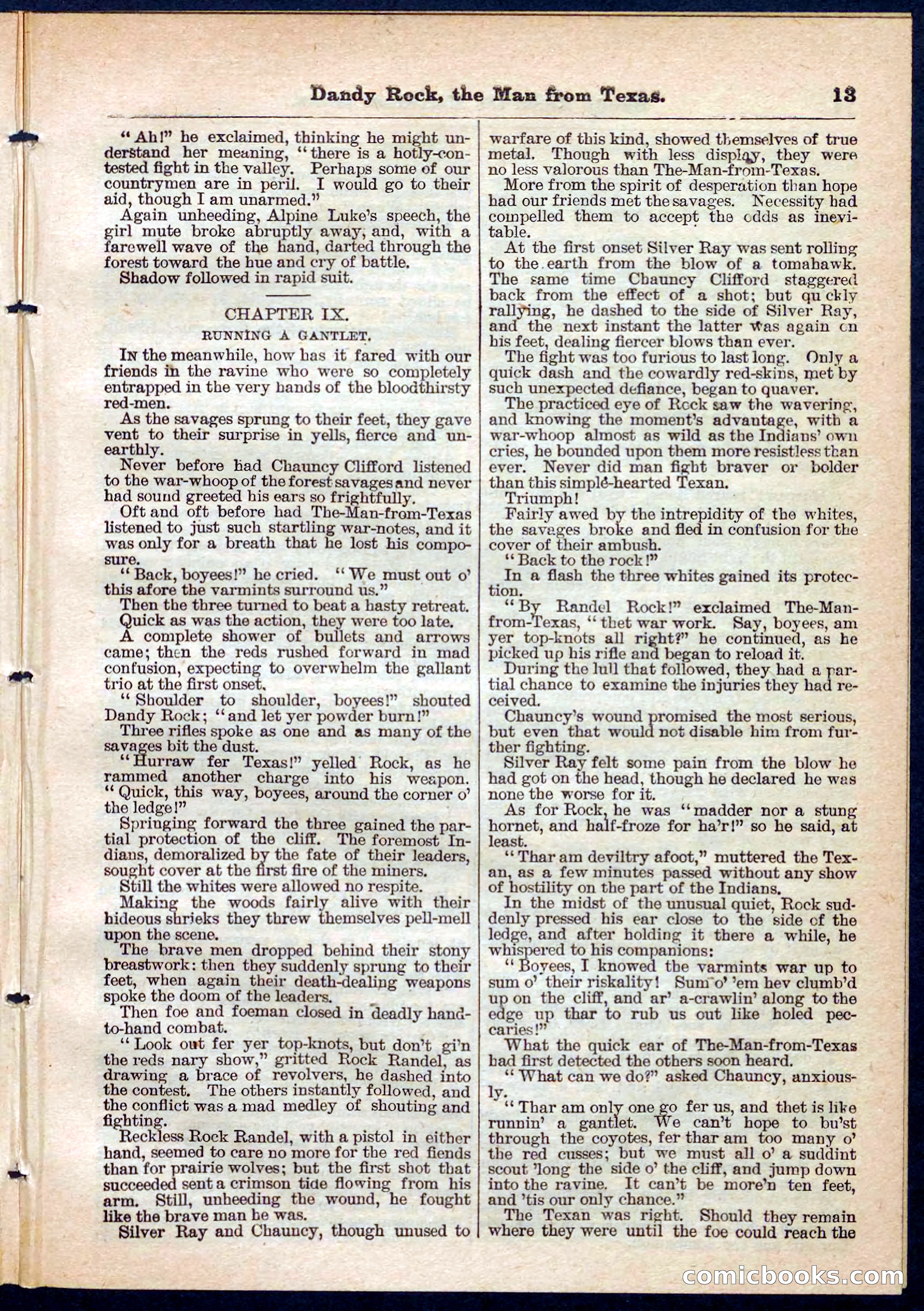 Beadle's Pocket Library No. 137 — page 13 of 32