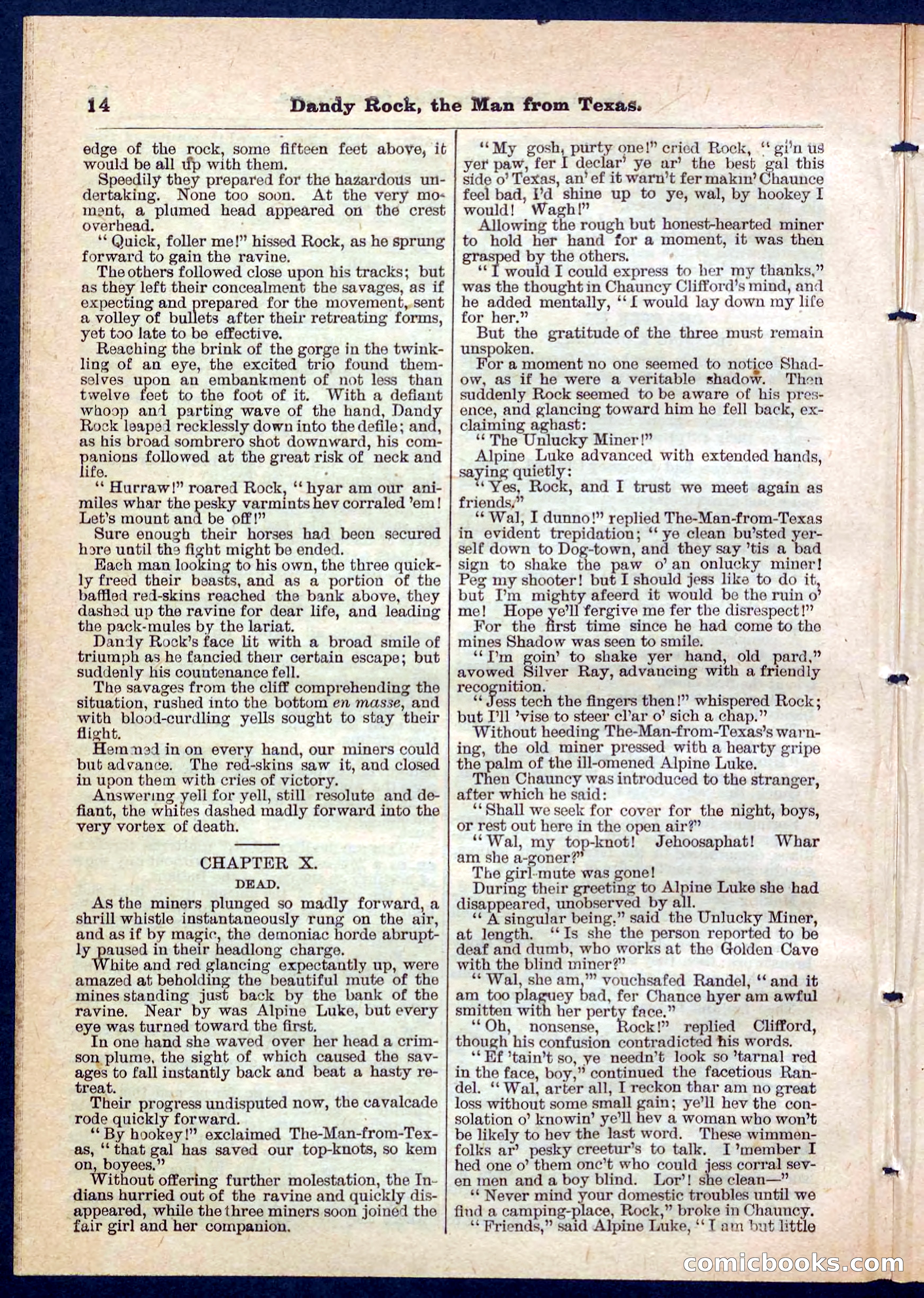 Beadle's Pocket Library No. 137 — page 14 of 32