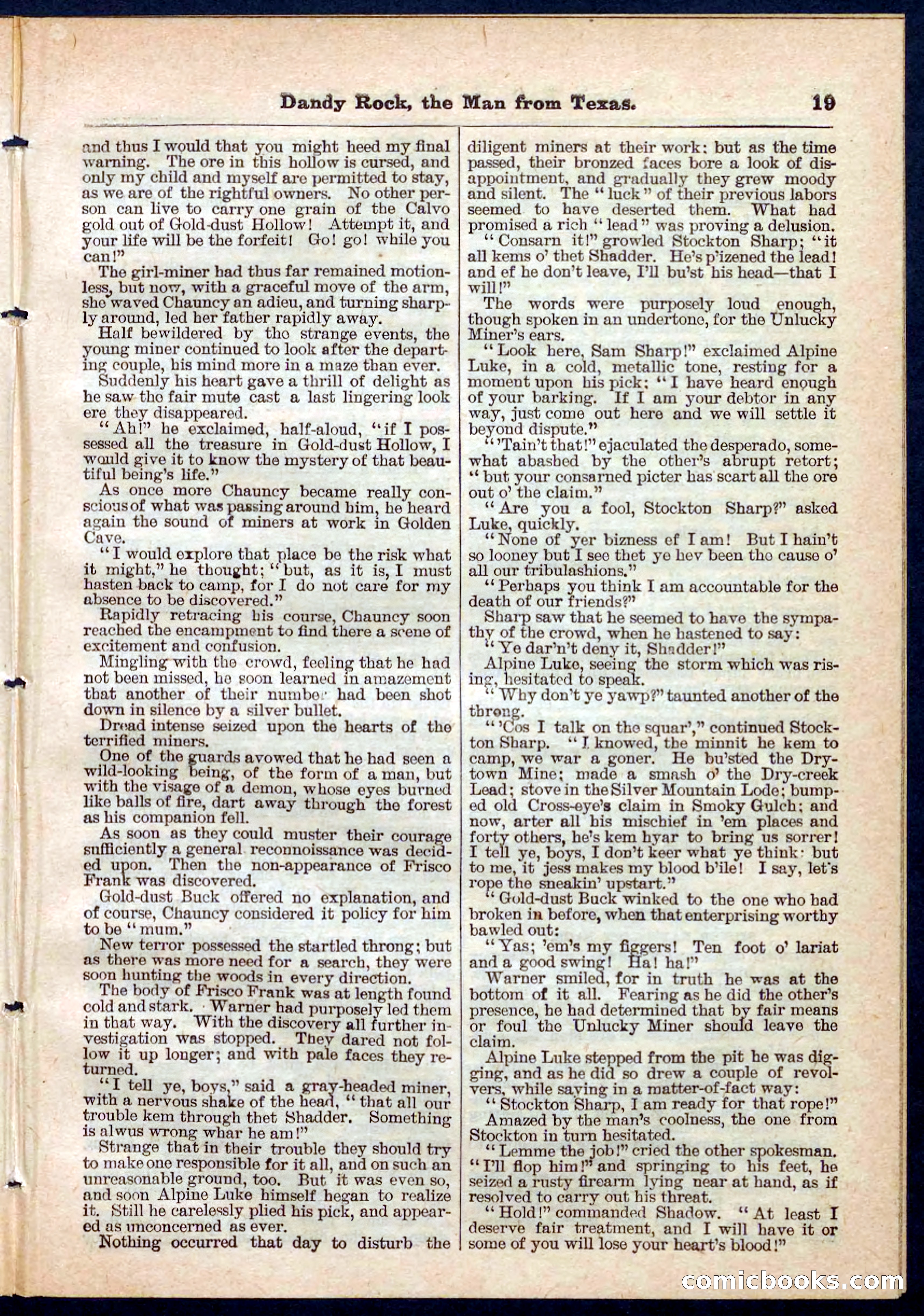 Beadle's Pocket Library No. 137 — page 19 of 32