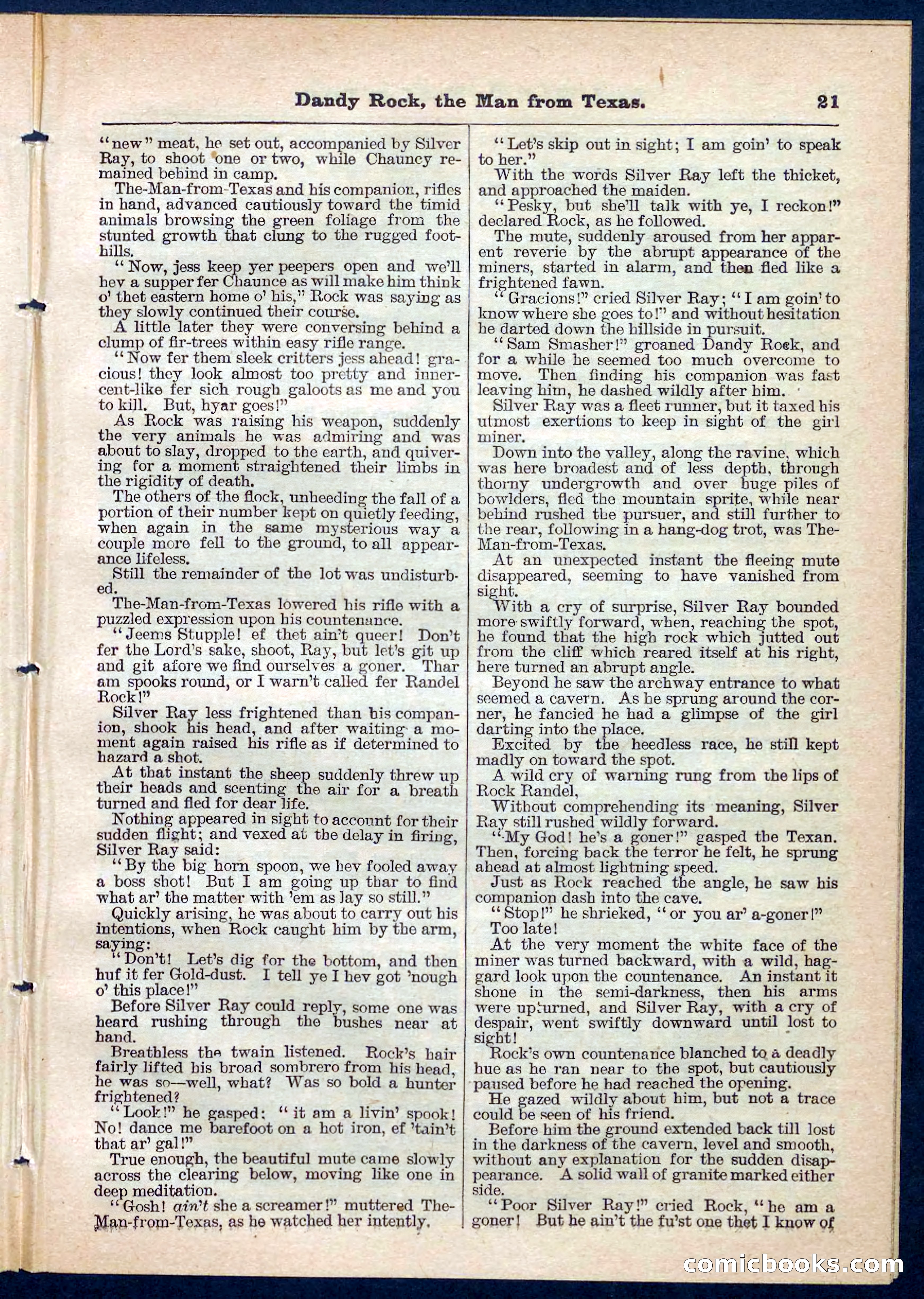 Beadle's Pocket Library No. 137 — page 21 of 32