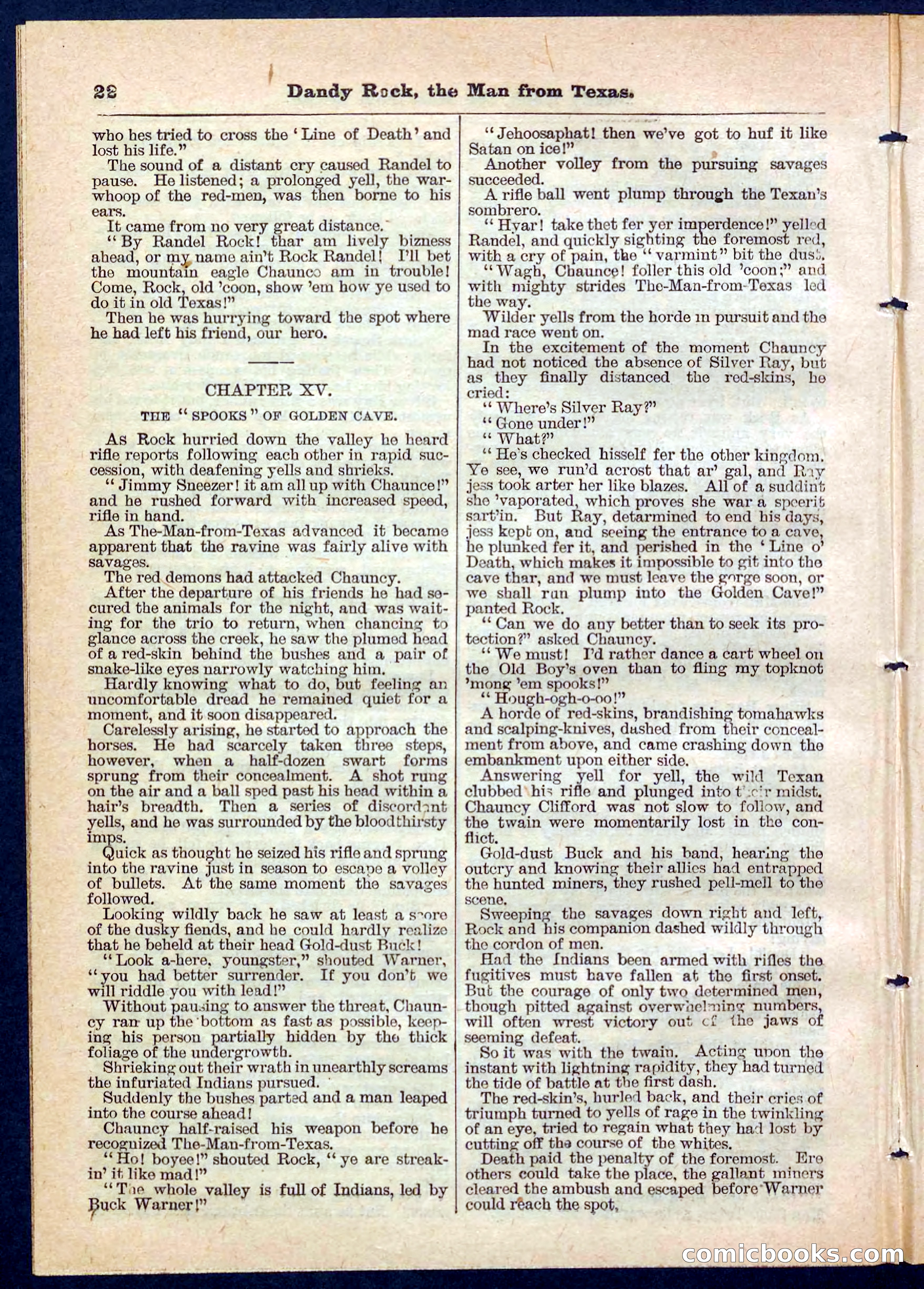 Beadle's Pocket Library No. 137 — page 22 of 32