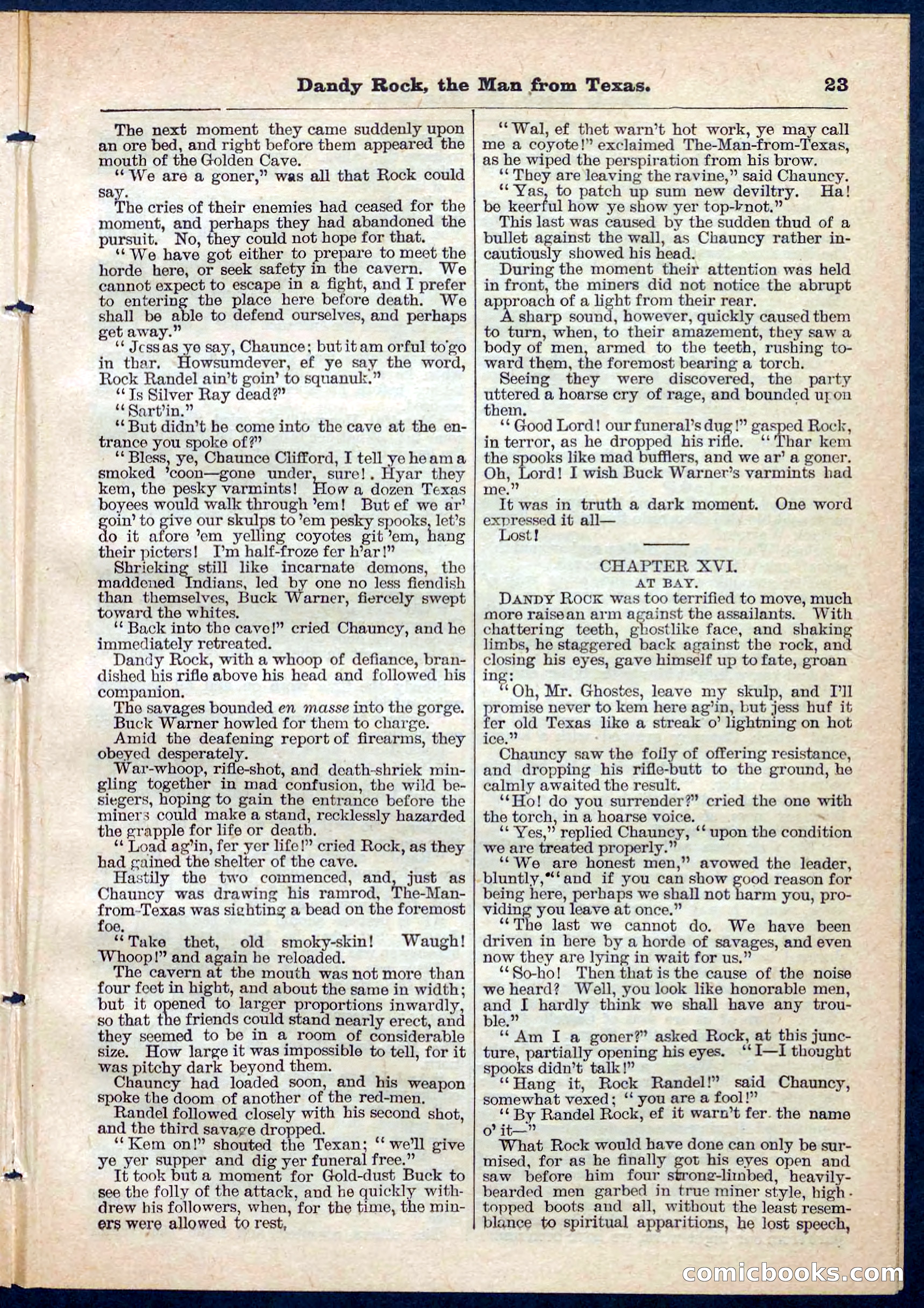 Beadle's Pocket Library No. 137 — page 23 of 32