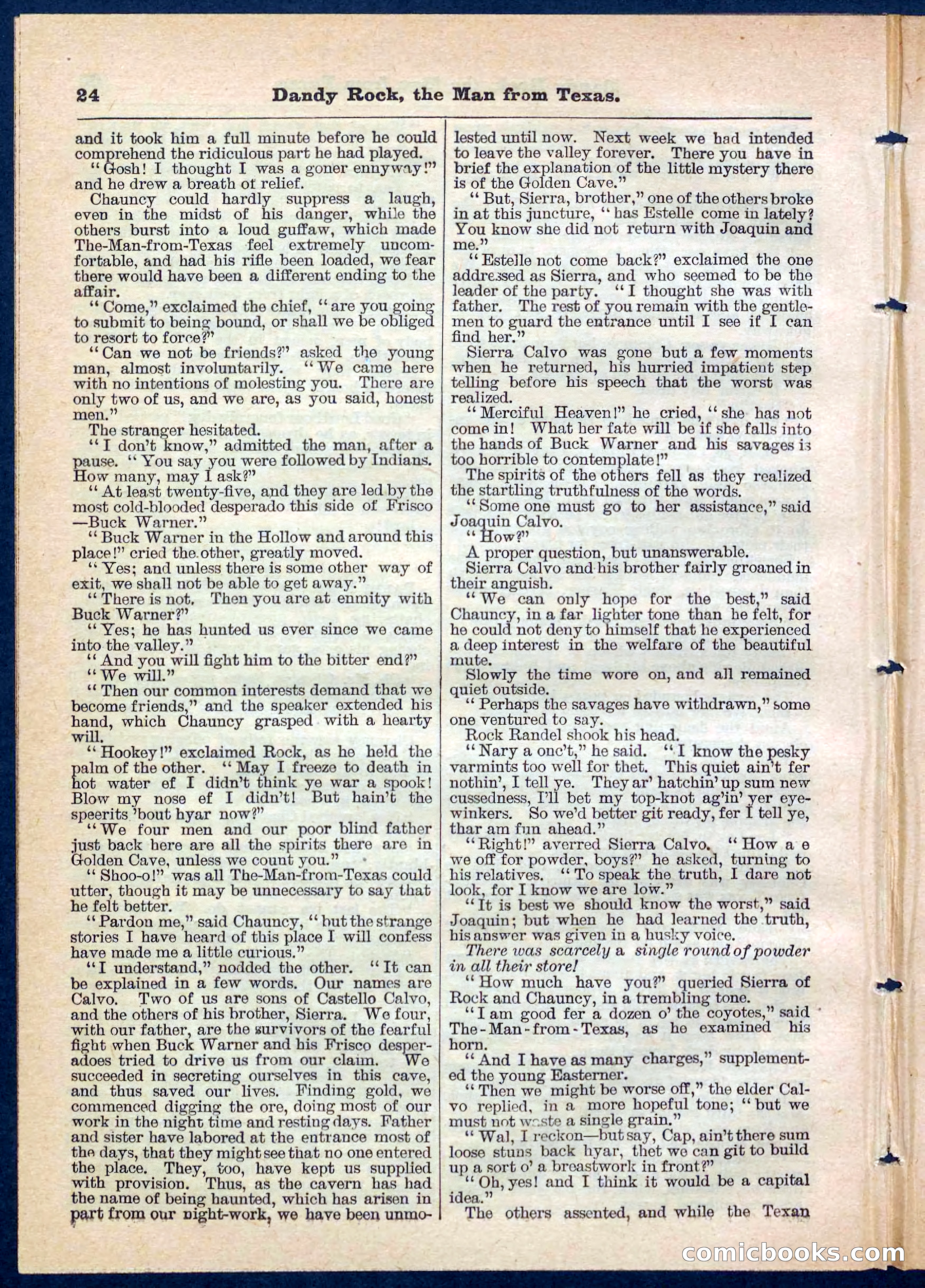 Beadle's Pocket Library No. 137 — page 24 of 32
