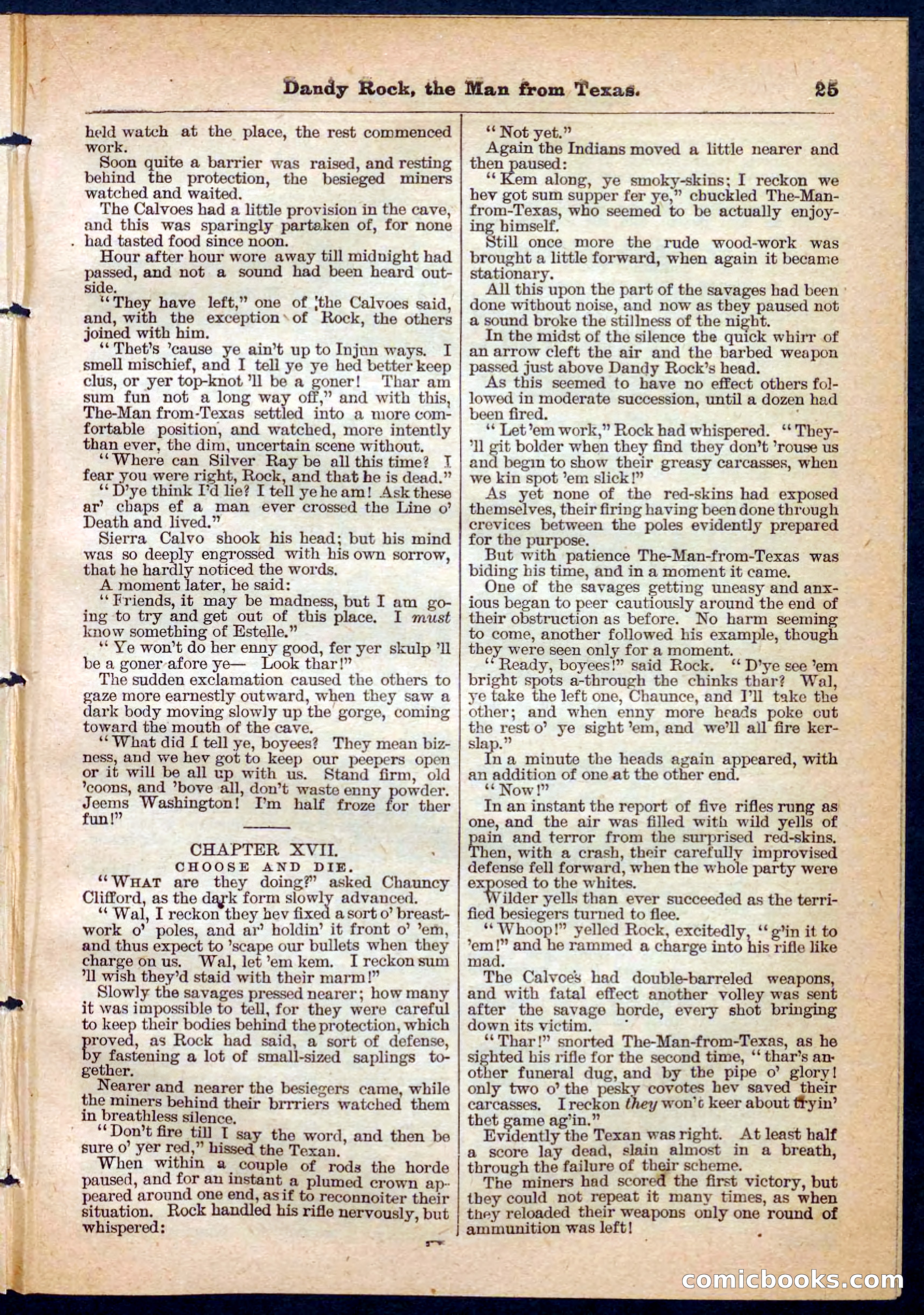 Beadle's Pocket Library No. 137 — page 25 of 32