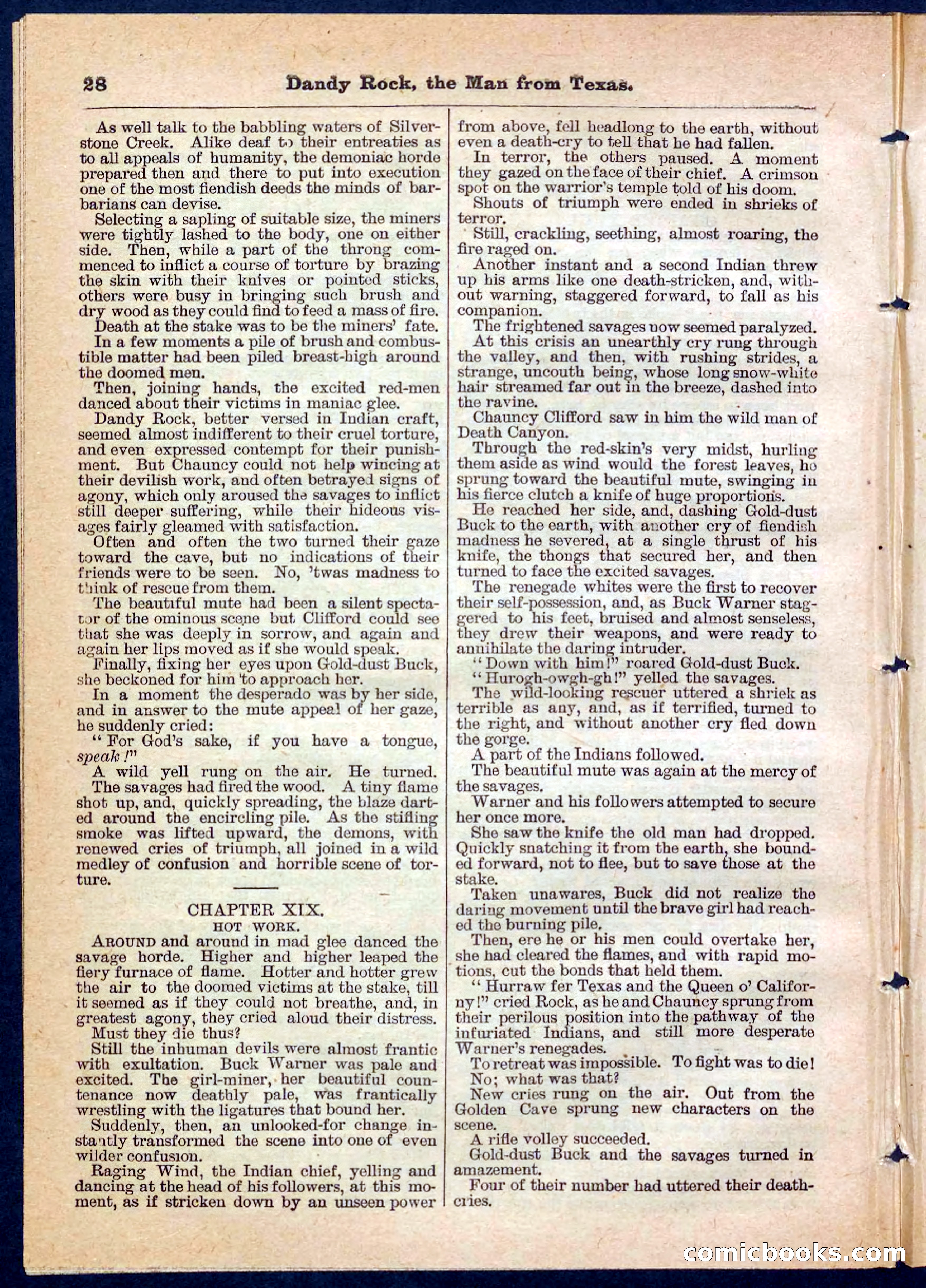 Beadle's Pocket Library No. 137 — page 28 of 32