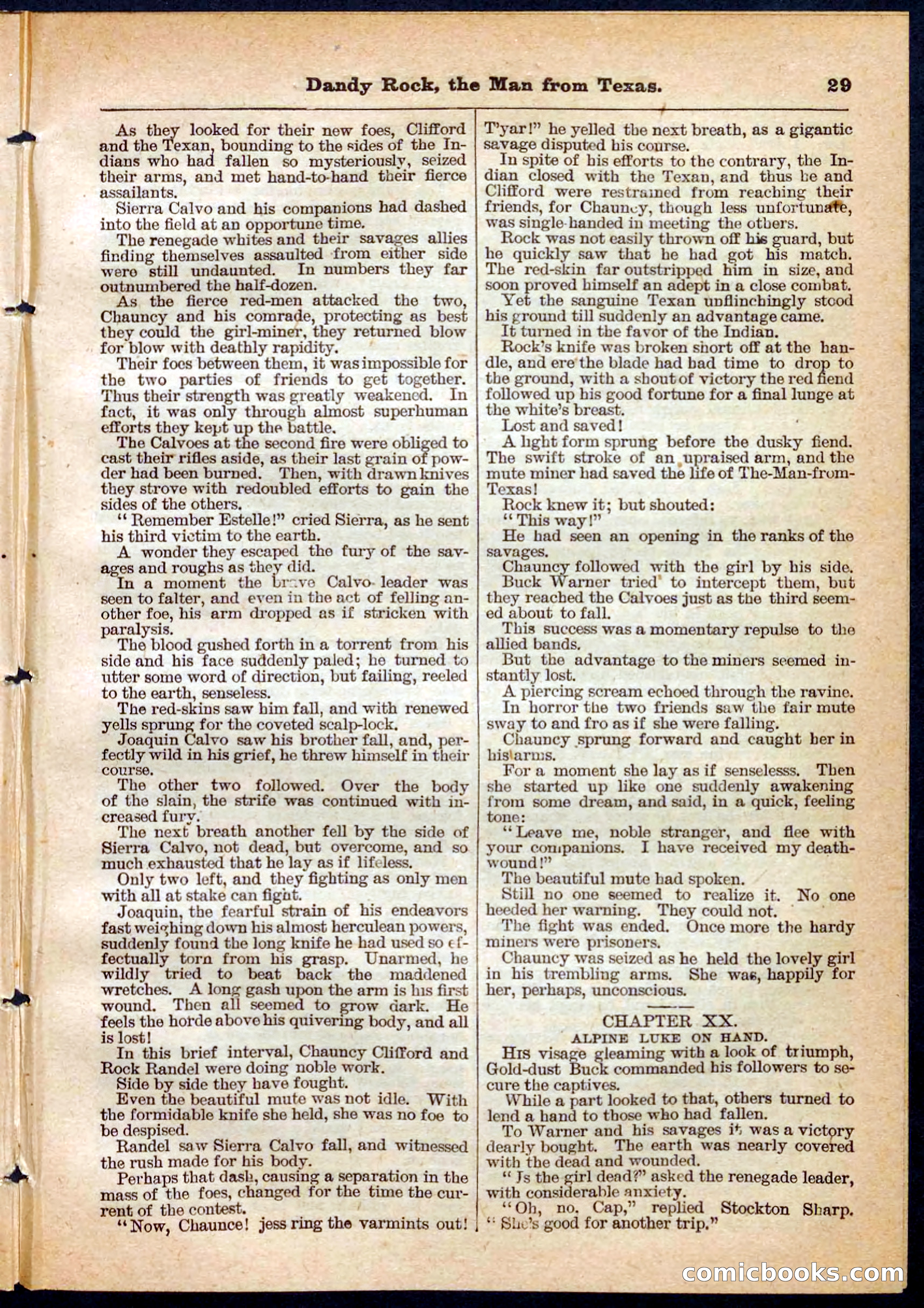 Beadle's Pocket Library No. 137 — page 29 of 32
