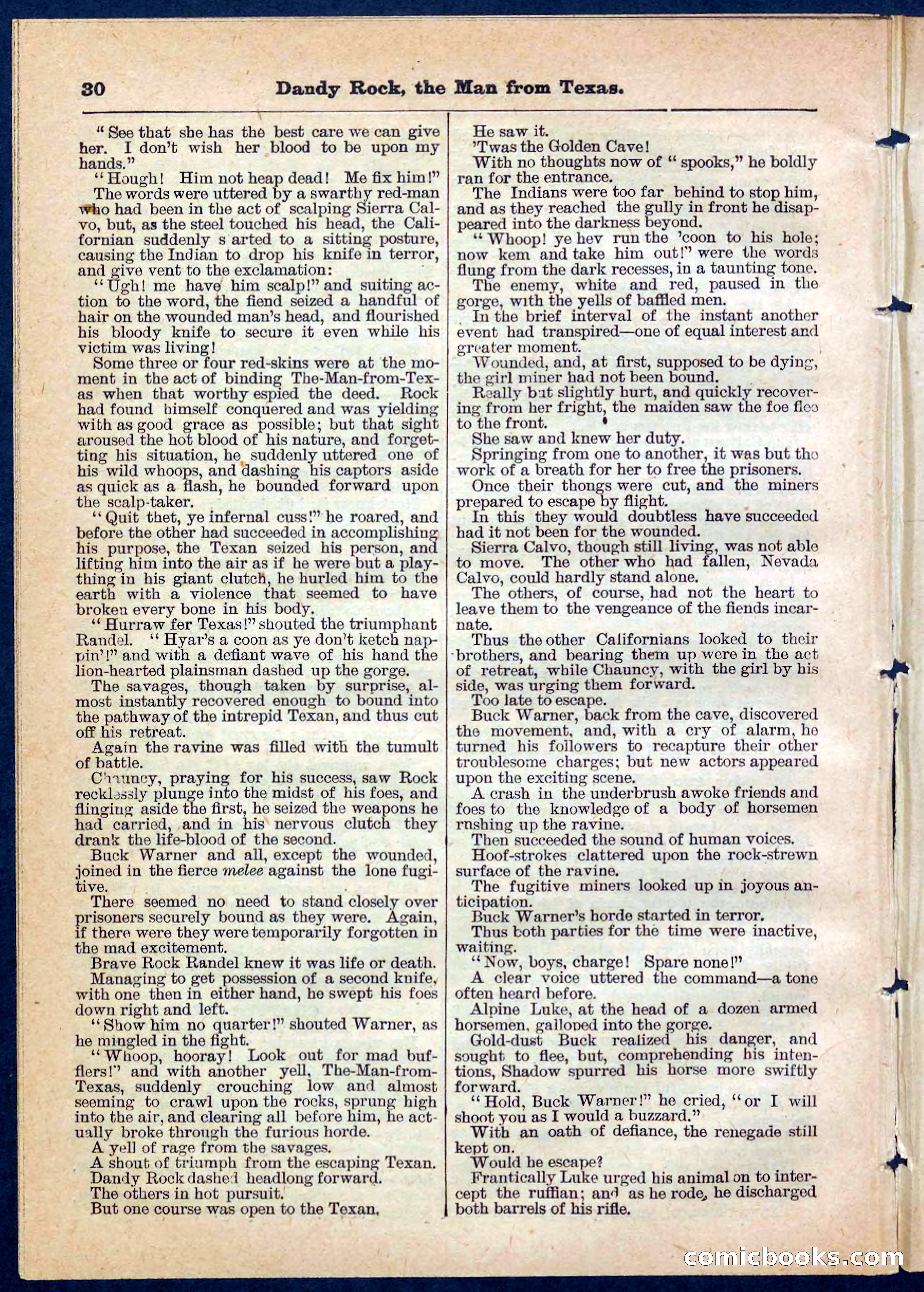 Beadle's Pocket Library No. 137 — page 30 of 32
