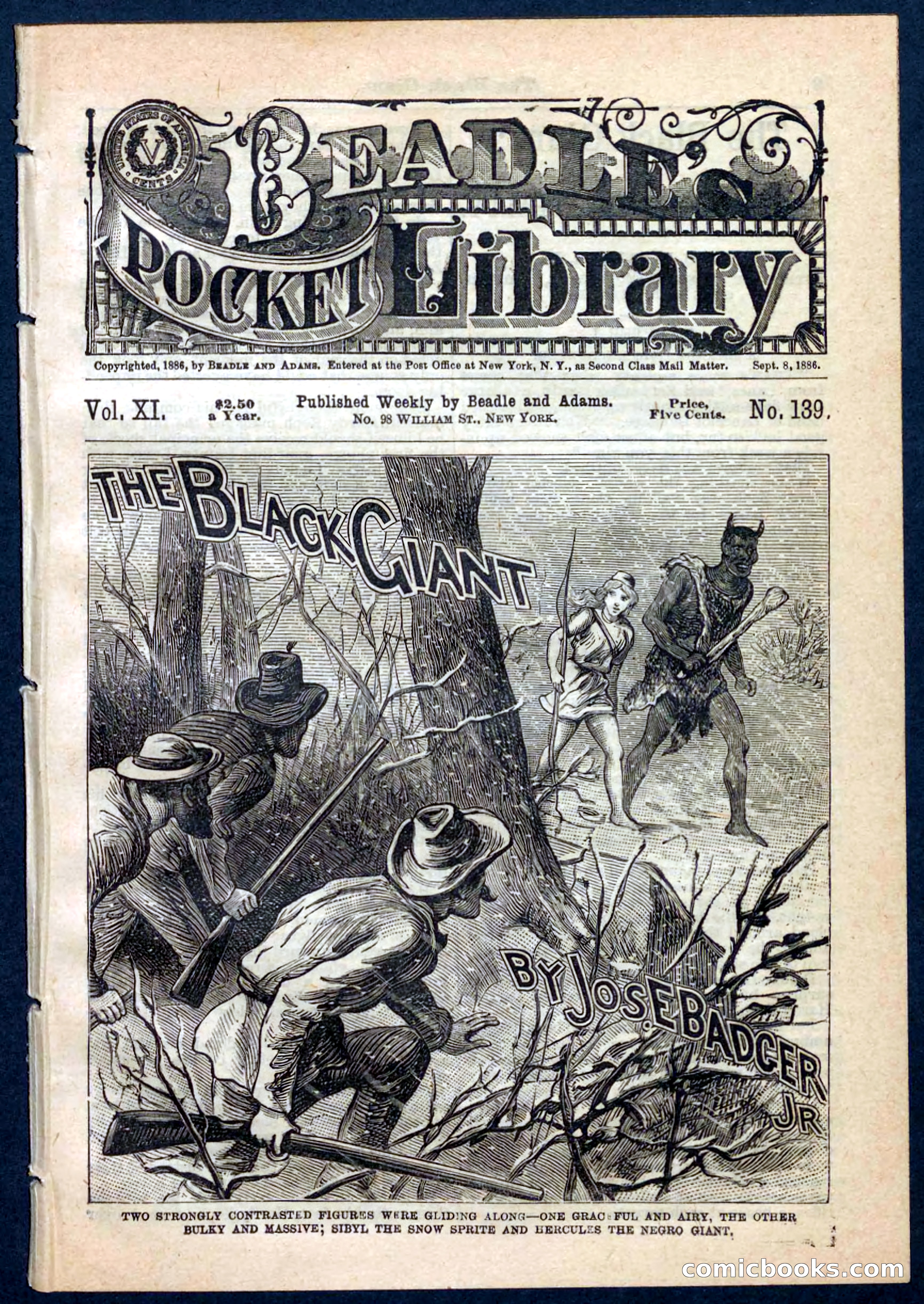 Beadle's Pocket Library No. 139 — page 1 of 32