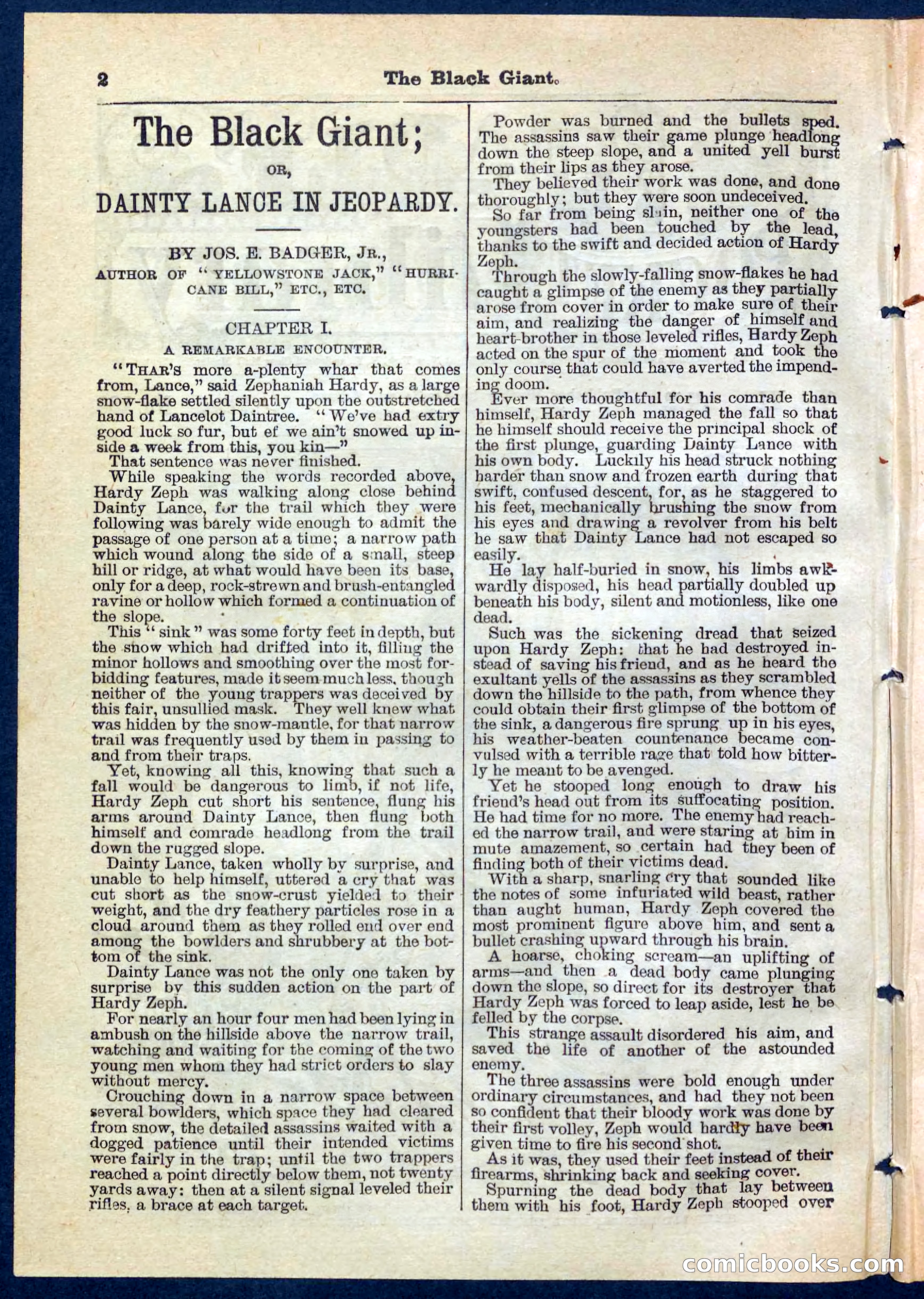 Beadle's Pocket Library No. 139 — page 2 of 32