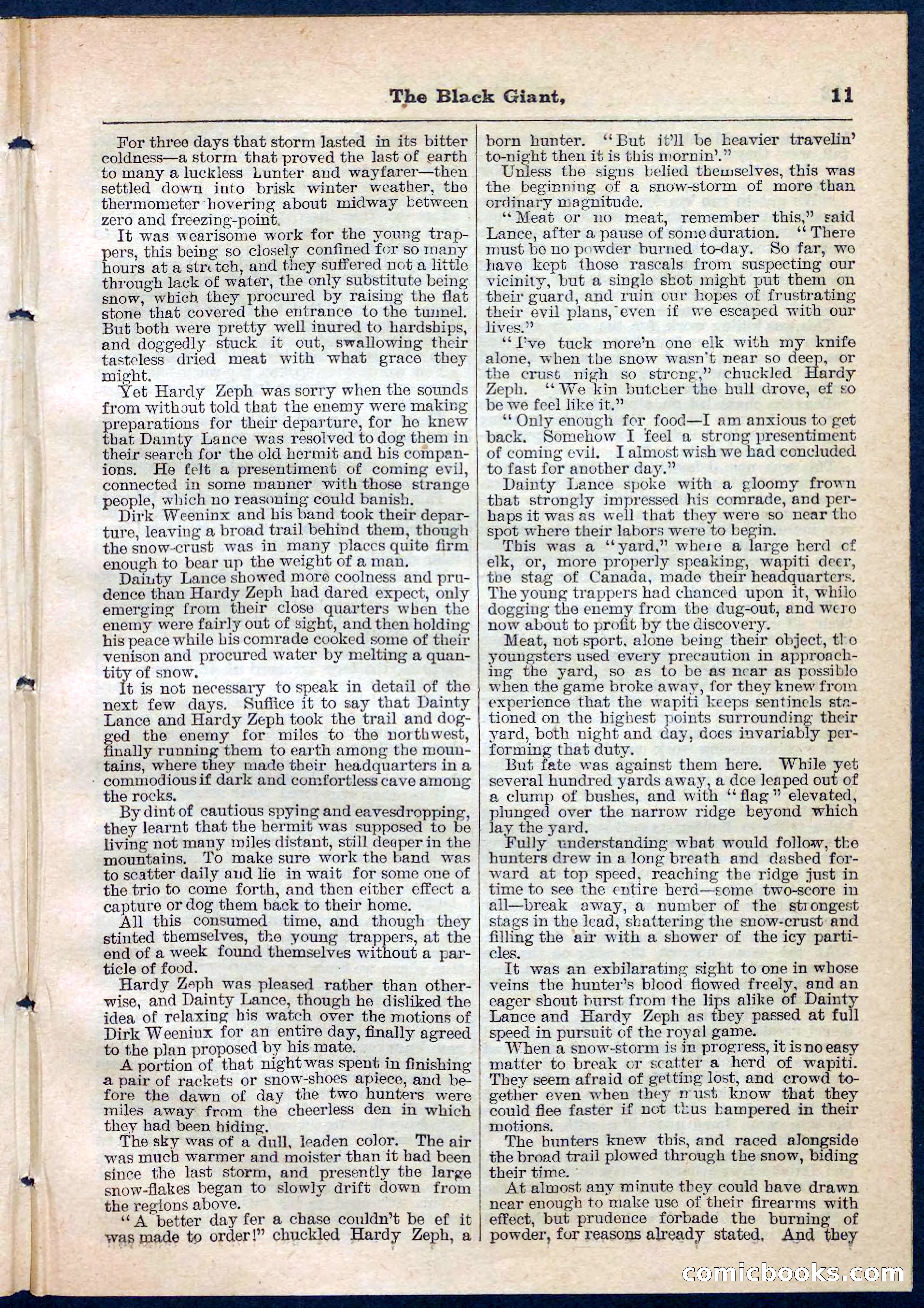 Beadle's Pocket Library No. 139 — page 11 of 32