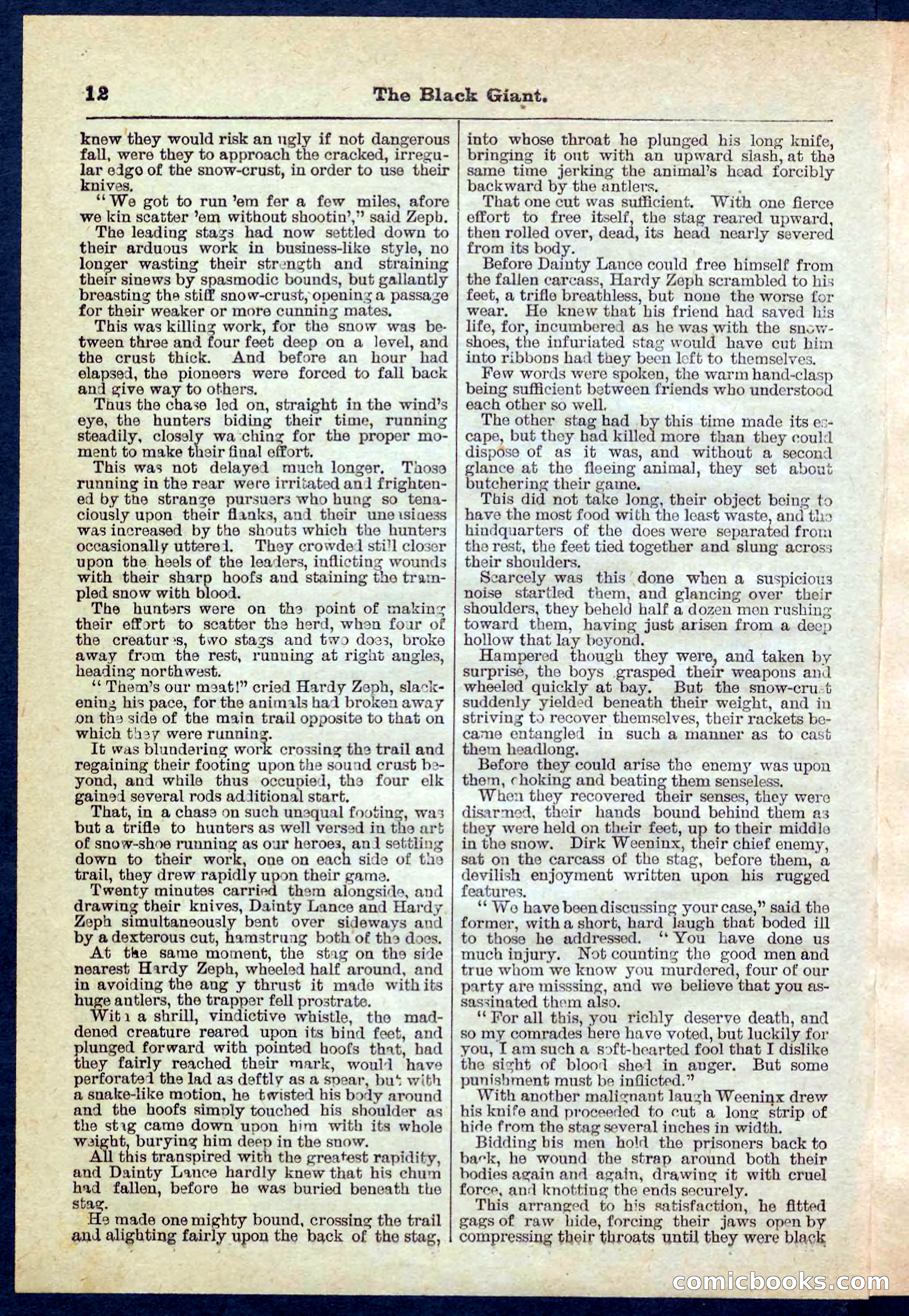 Beadle's Pocket Library No. 139 — page 12 of 32