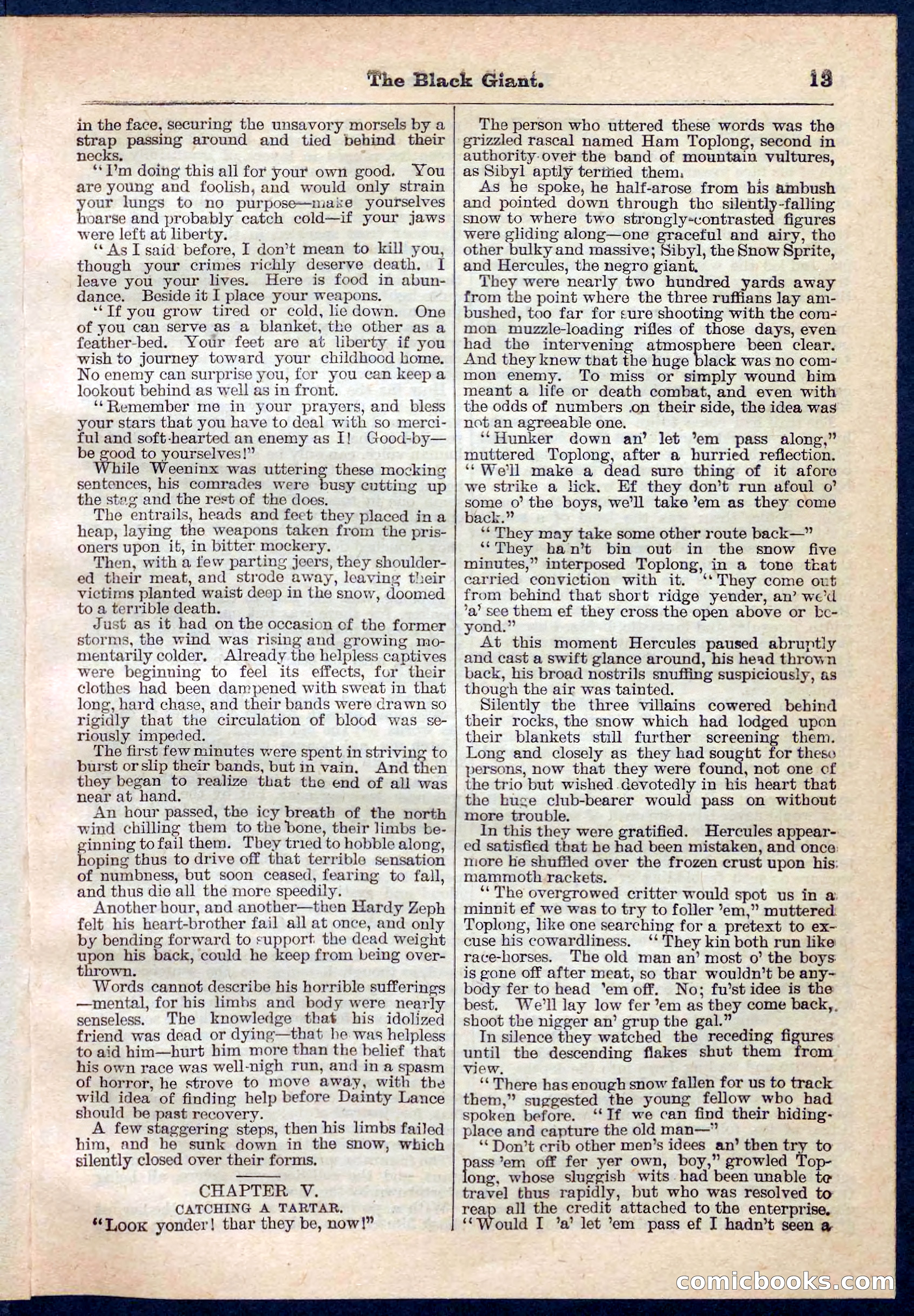 Beadle's Pocket Library No. 139 — page 13 of 32