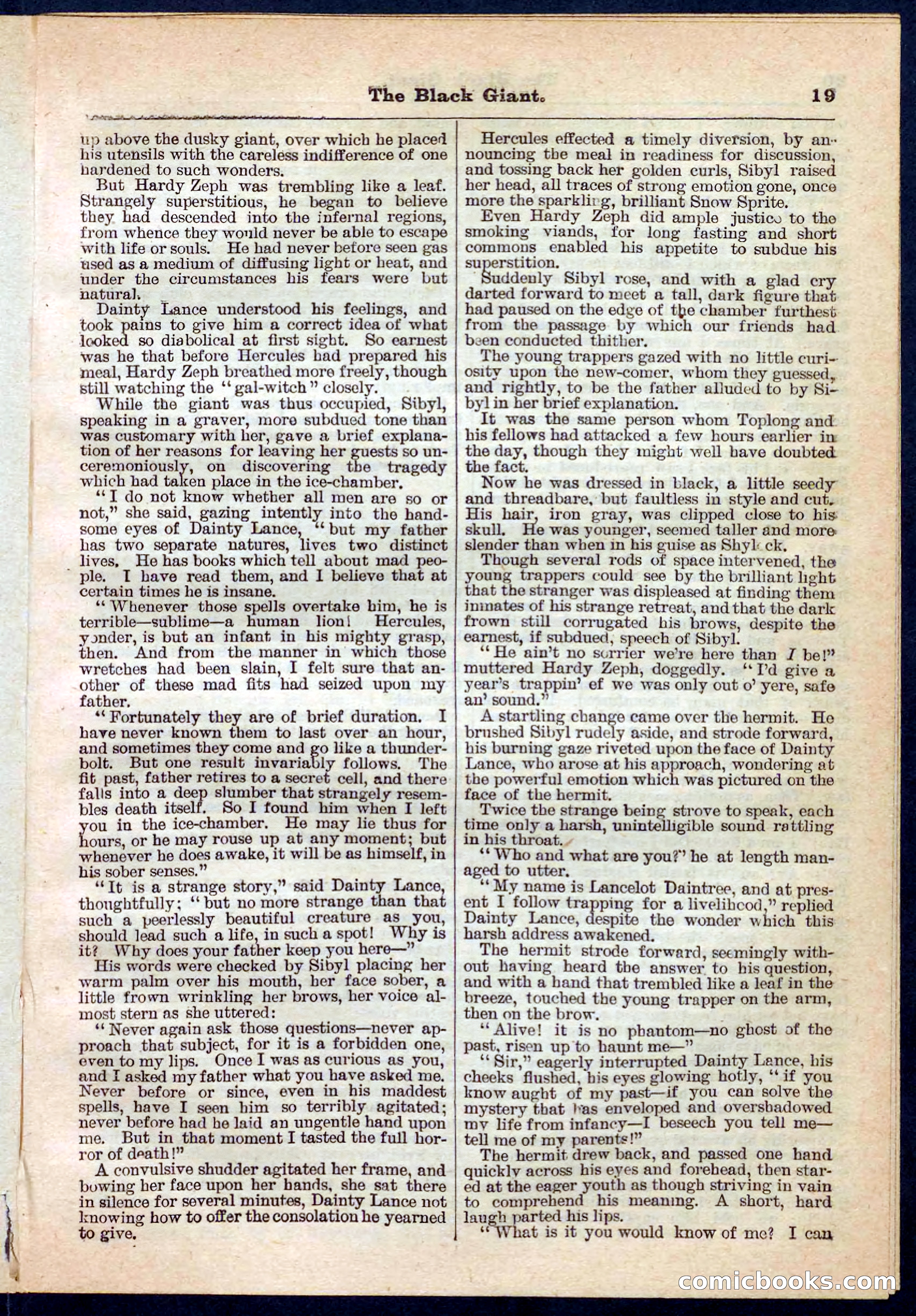 Beadle's Pocket Library No. 139 — page 19 of 32