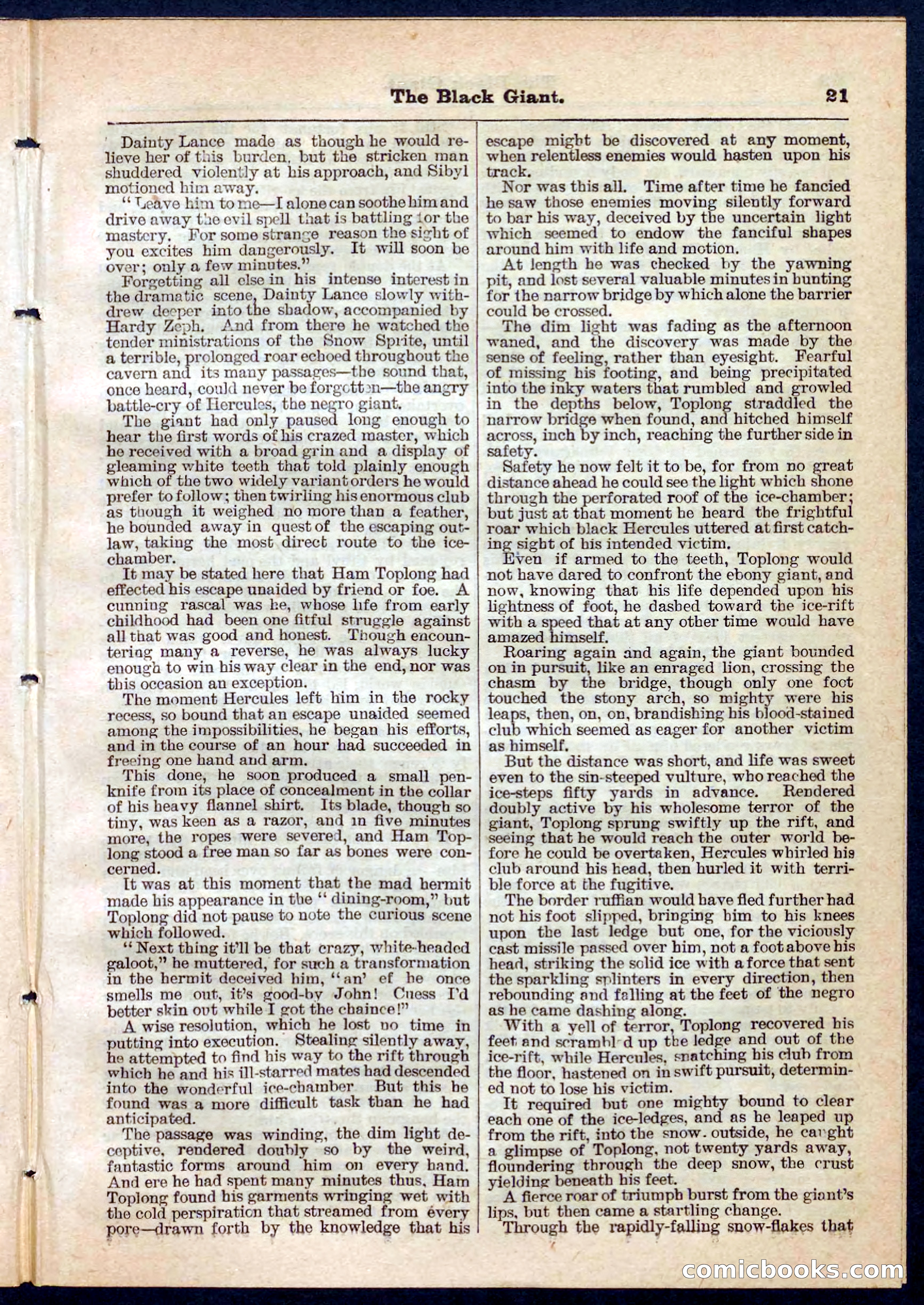 Beadle's Pocket Library No. 139 — page 21 of 32