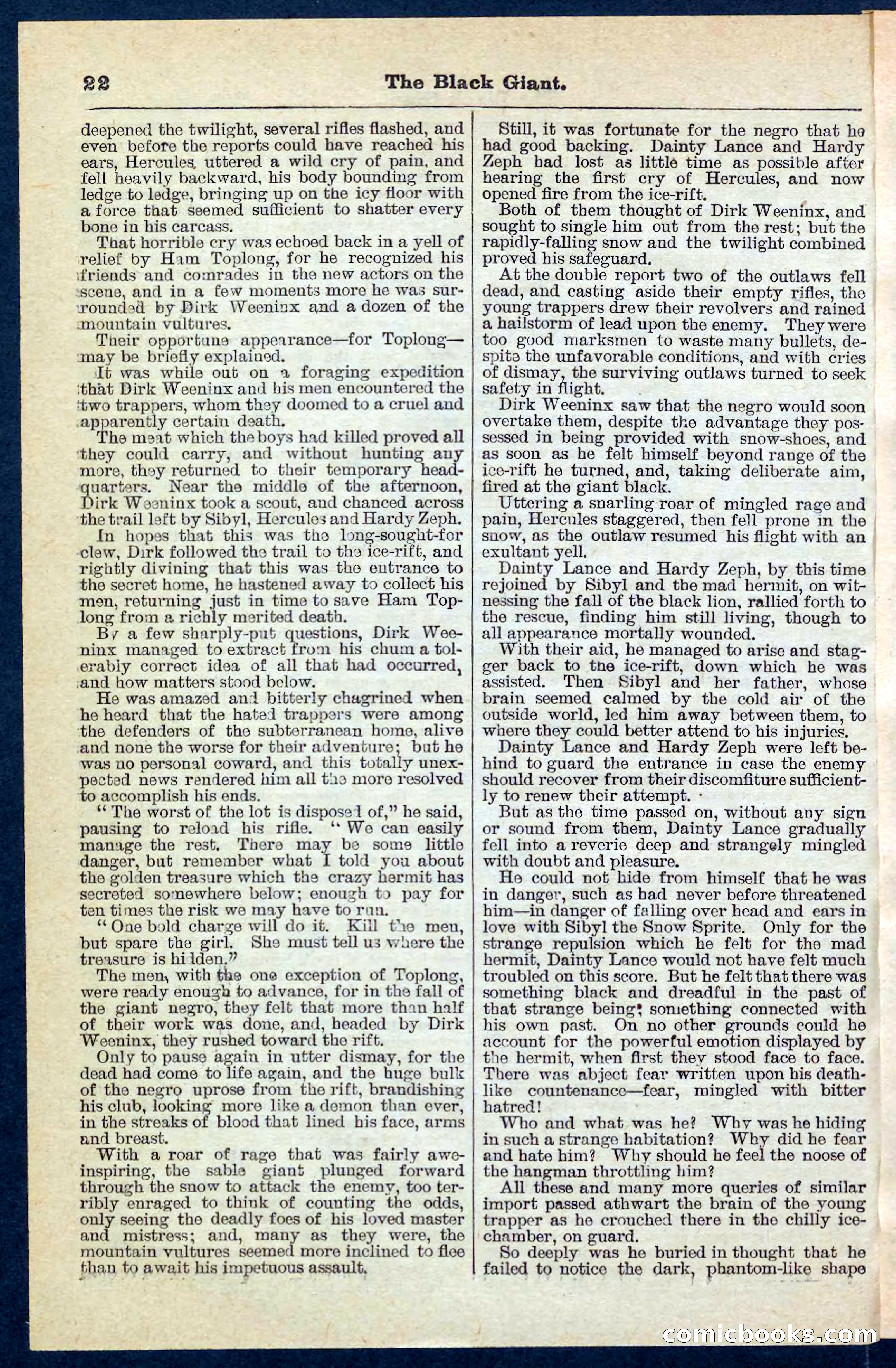 Beadle's Pocket Library No. 139 — page 22 of 32