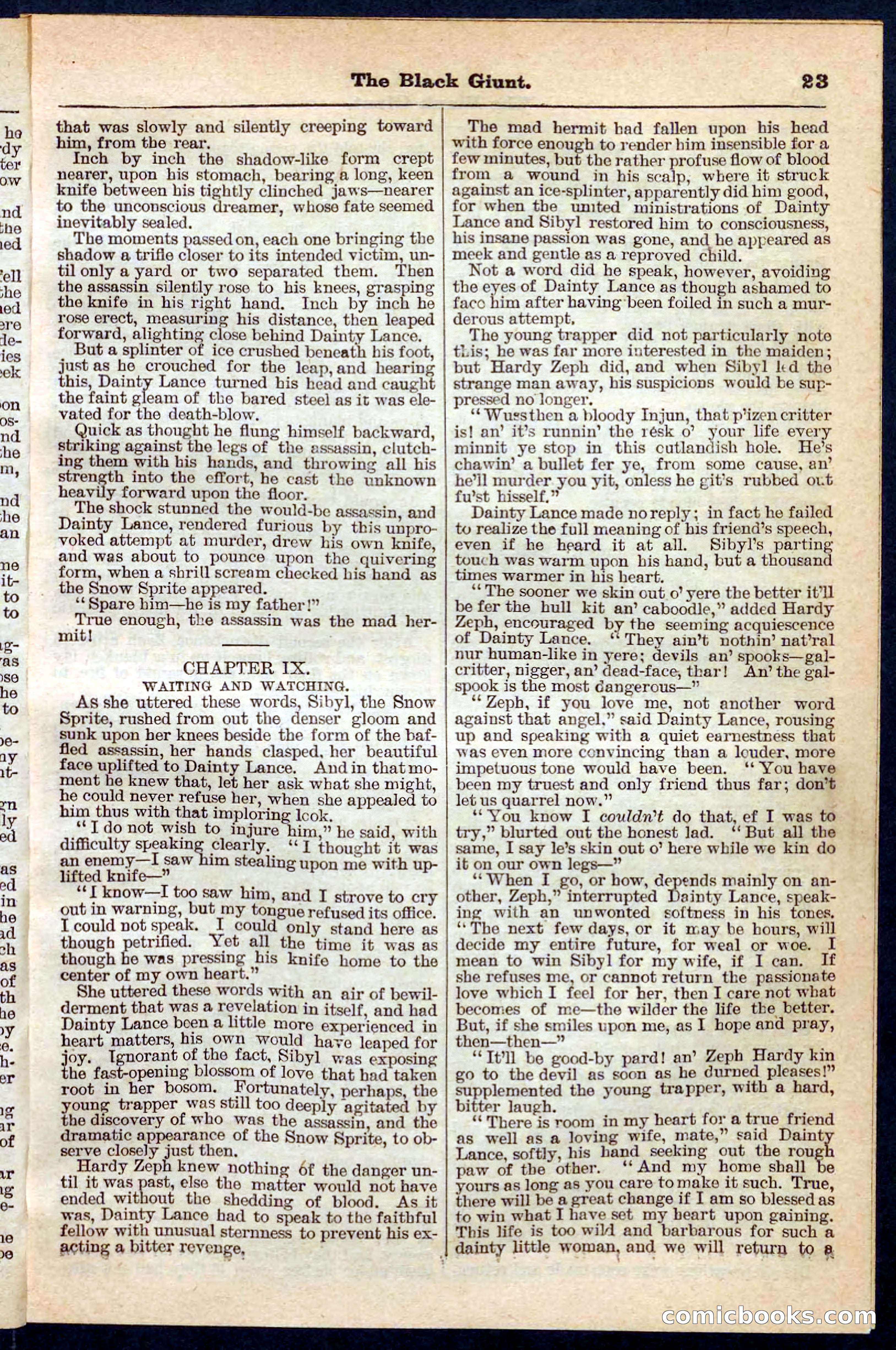 Beadle's Pocket Library No. 139 — page 23 of 32