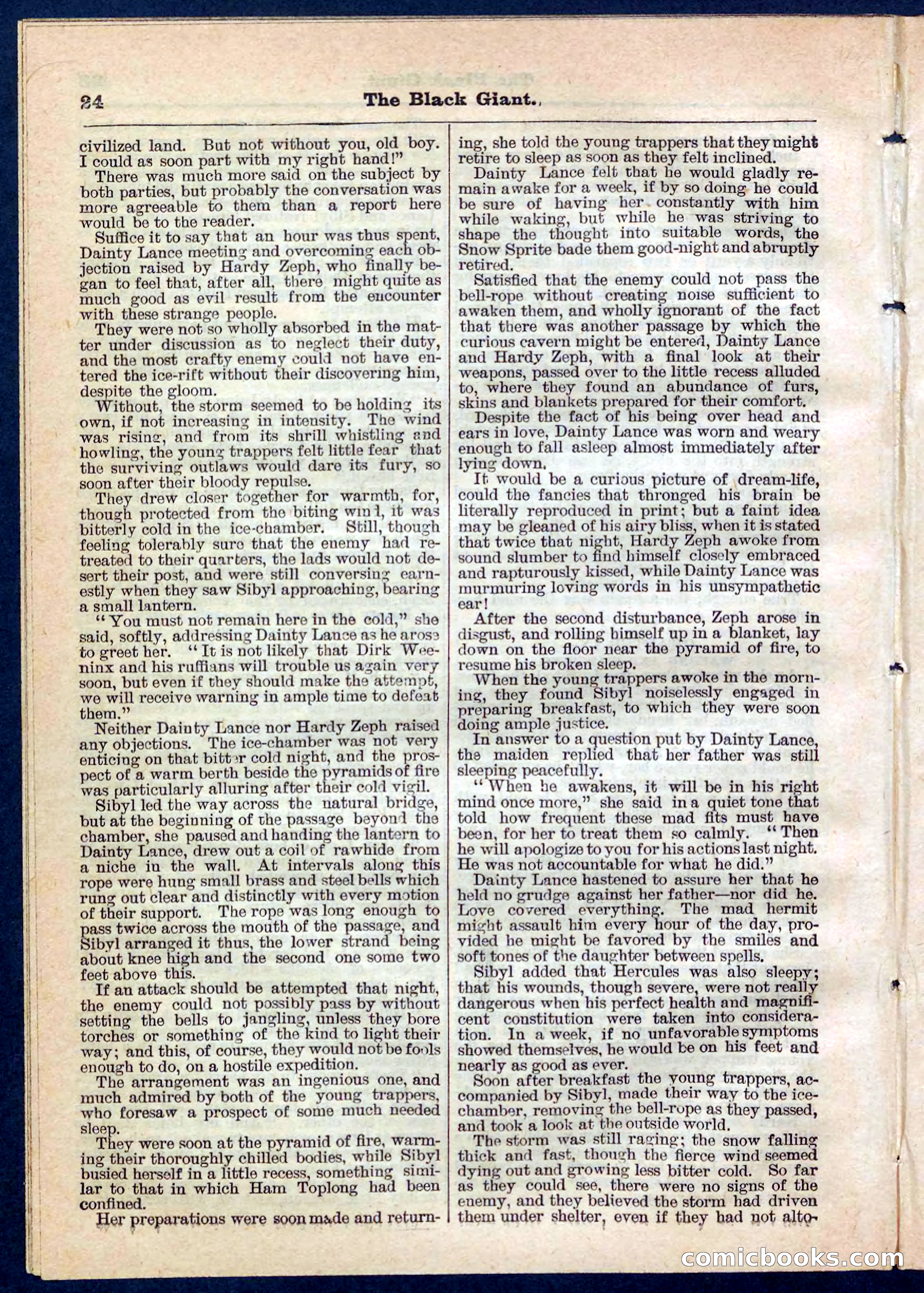 Beadle's Pocket Library No. 139 — page 24 of 32