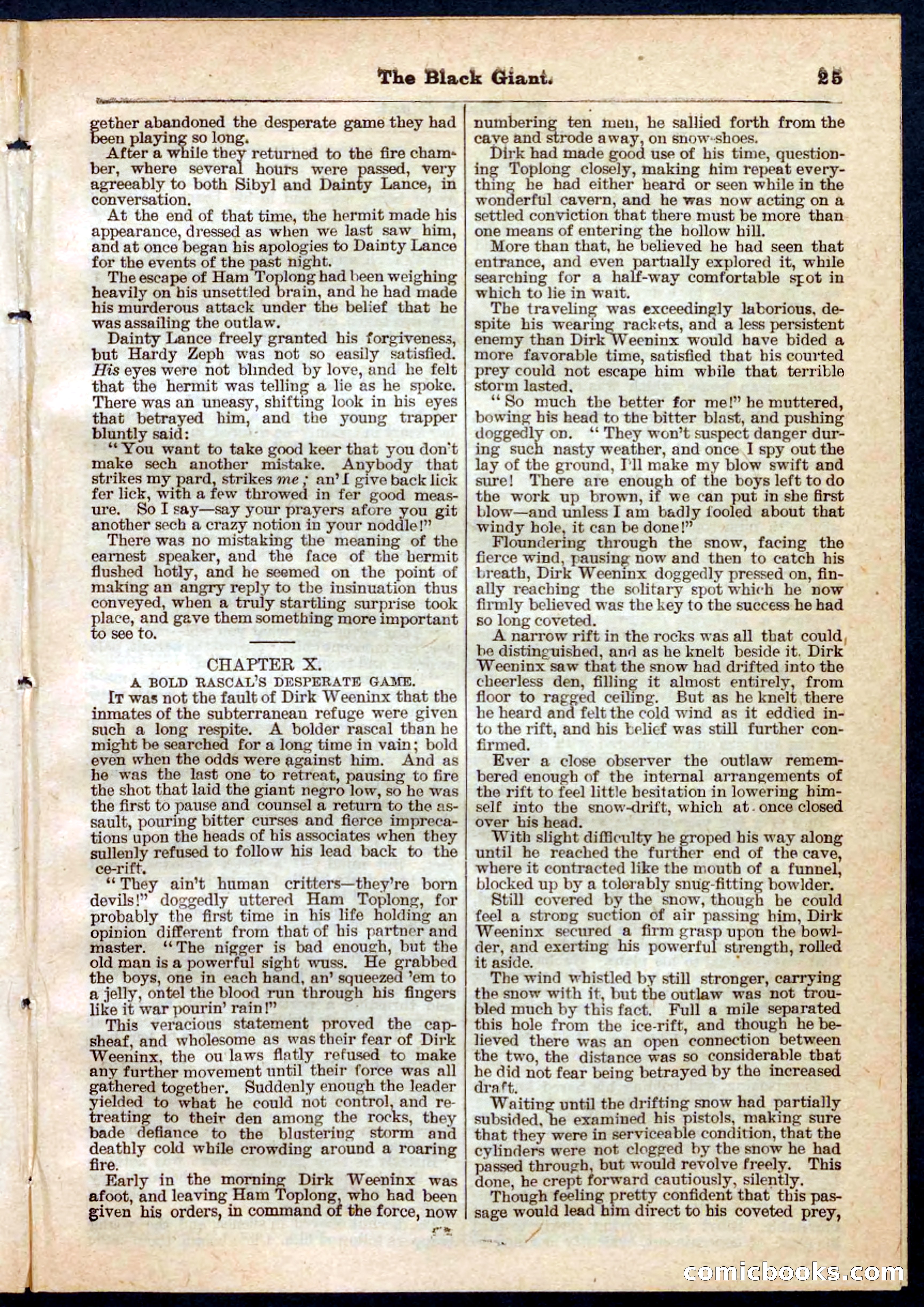 Beadle's Pocket Library No. 139 — page 25 of 32