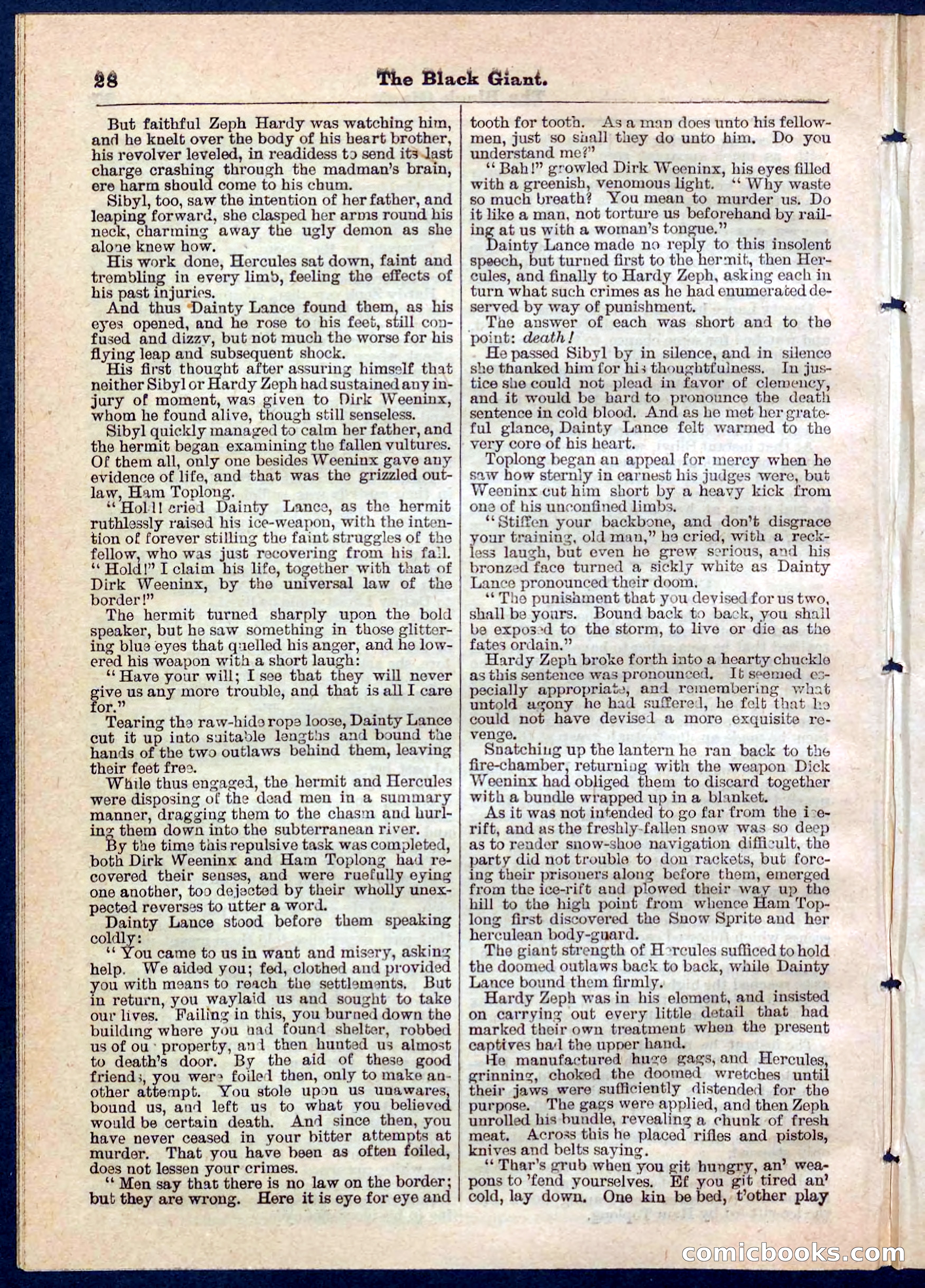 Beadle's Pocket Library No. 139 — page 28 of 32