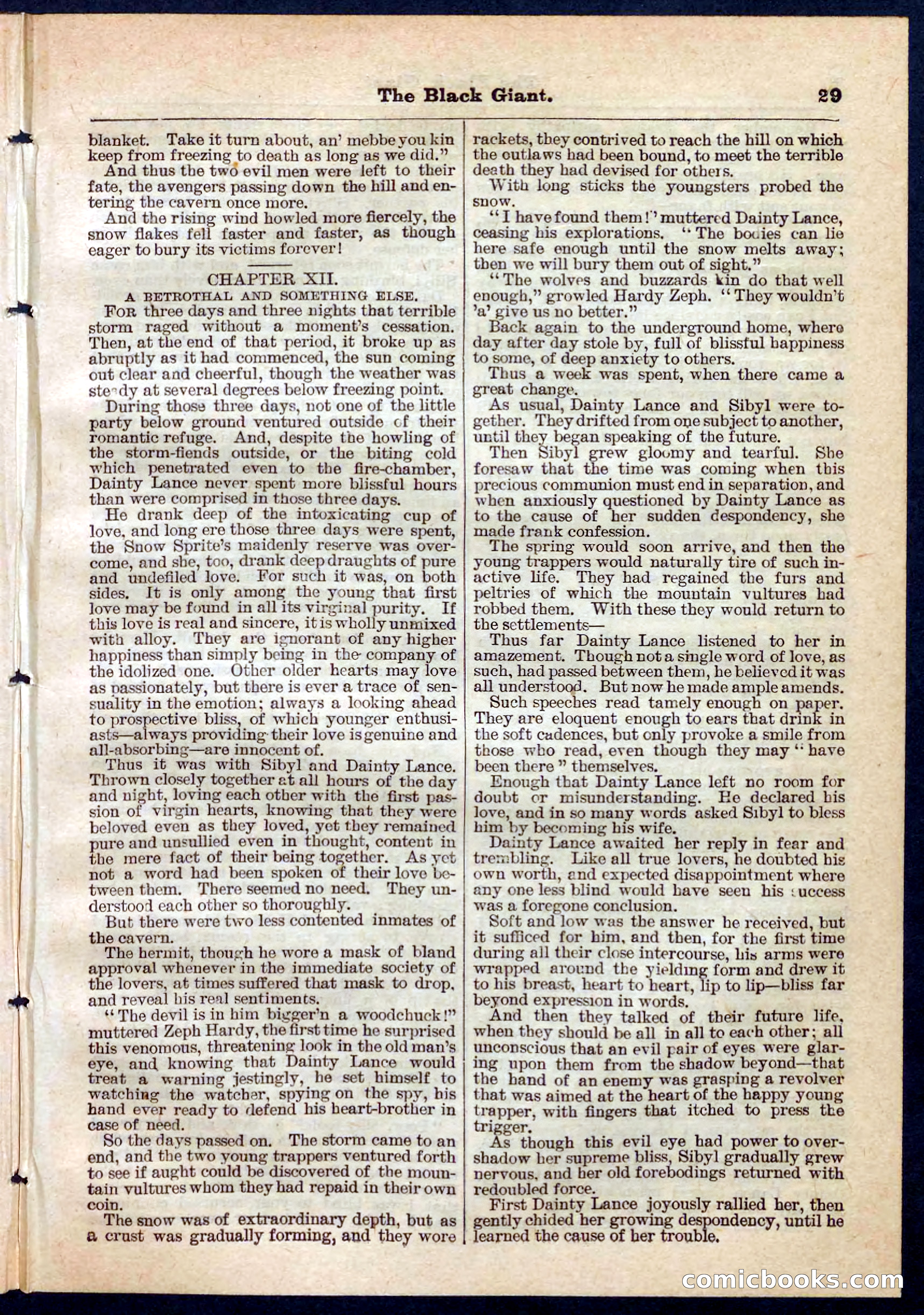 Beadle's Pocket Library No. 139 — page 29 of 32
