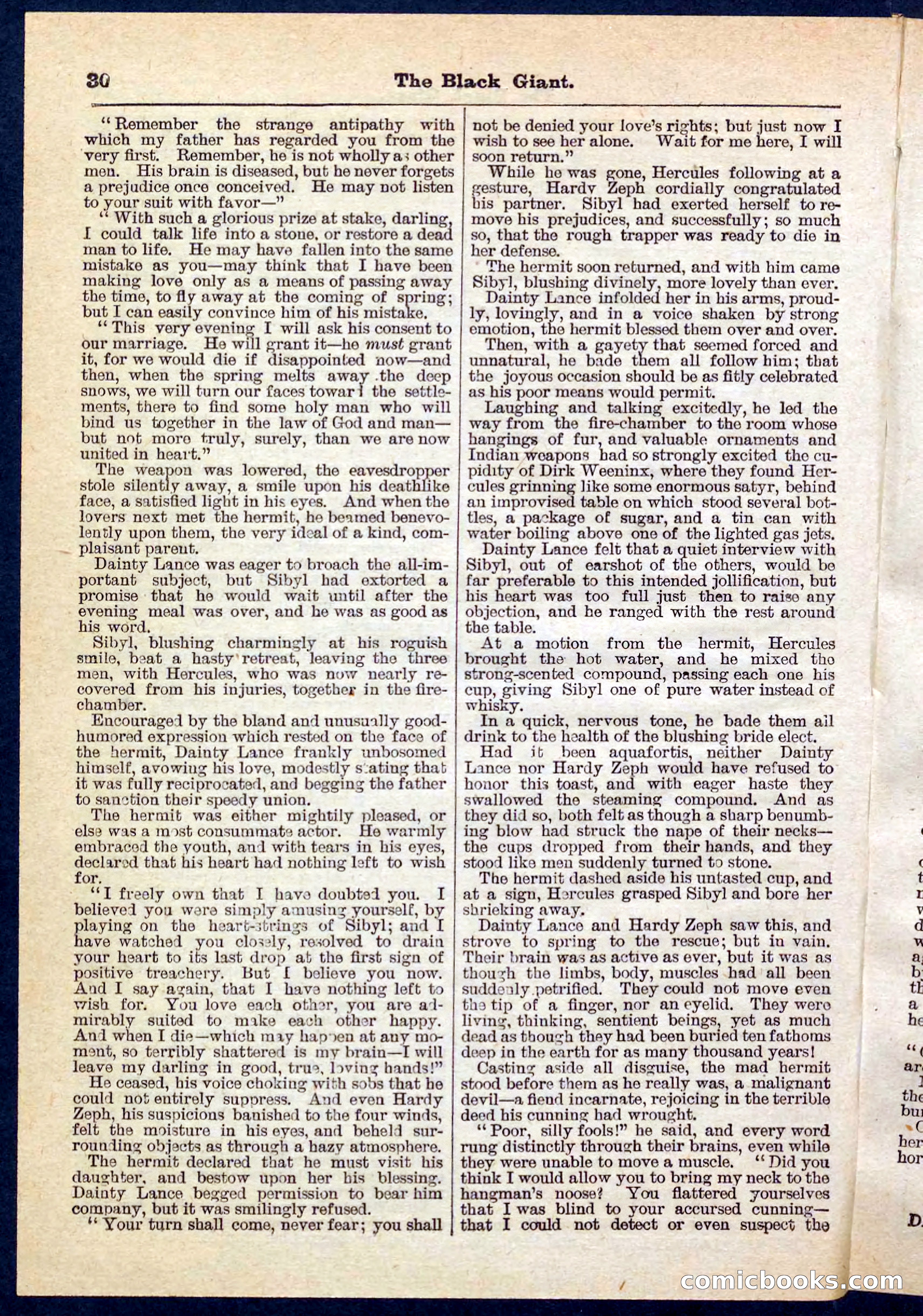 Beadle's Pocket Library No. 139 — page 30 of 32