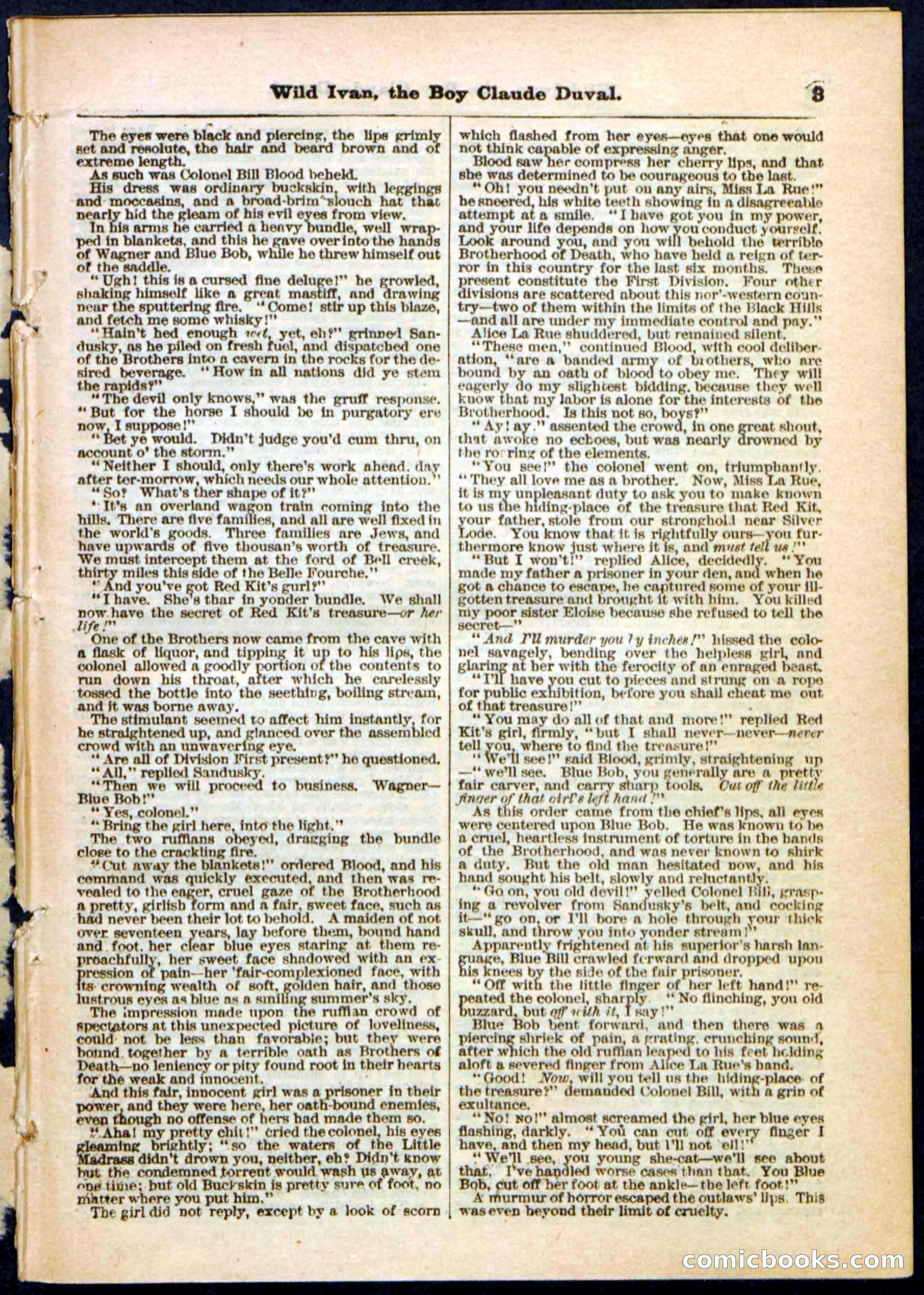 Beadle's Pocket Library, Vol. II, No. 14 — page 3 of 32