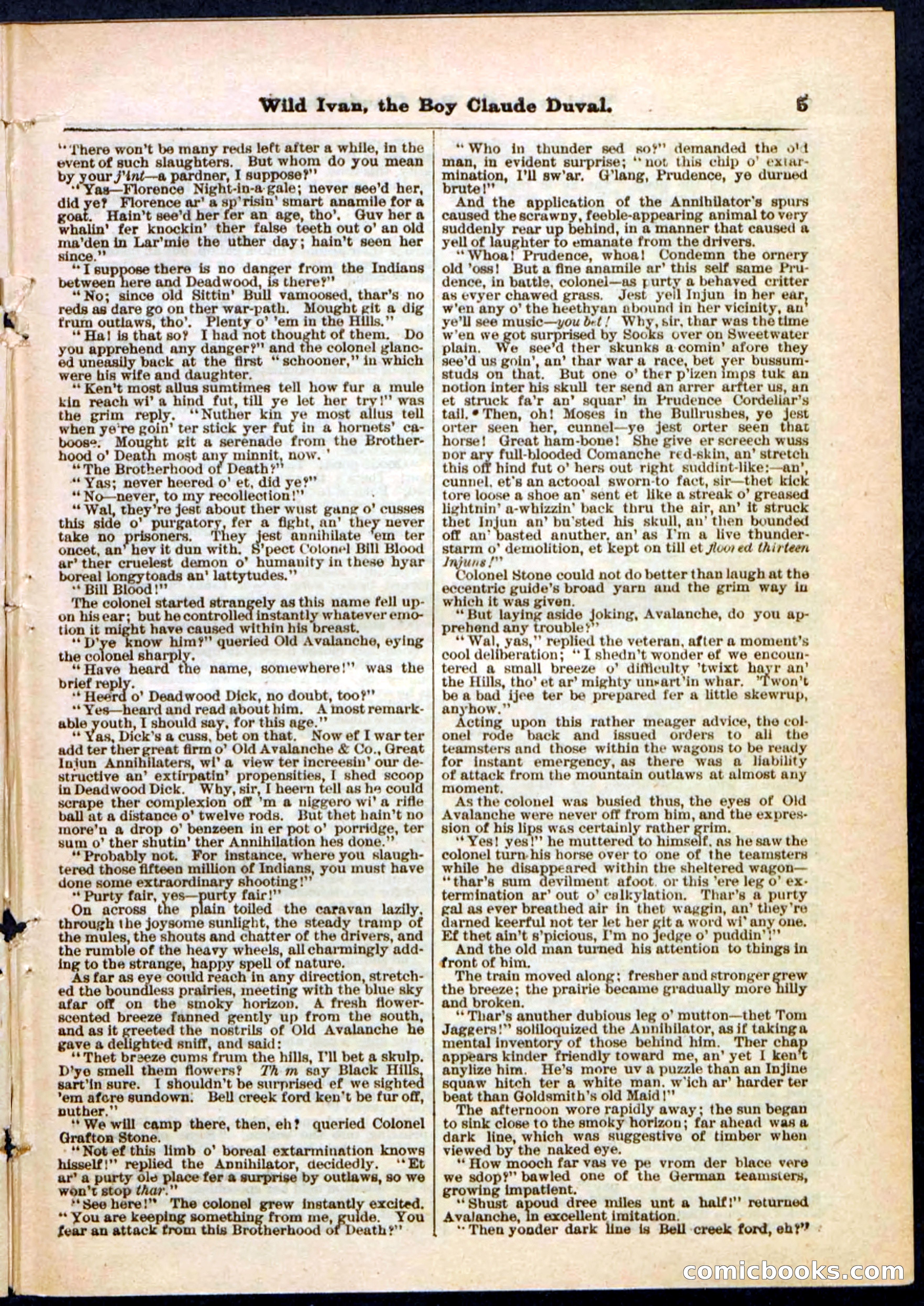 Beadle's Pocket Library, Vol. II, No. 14 — page 5 of 32