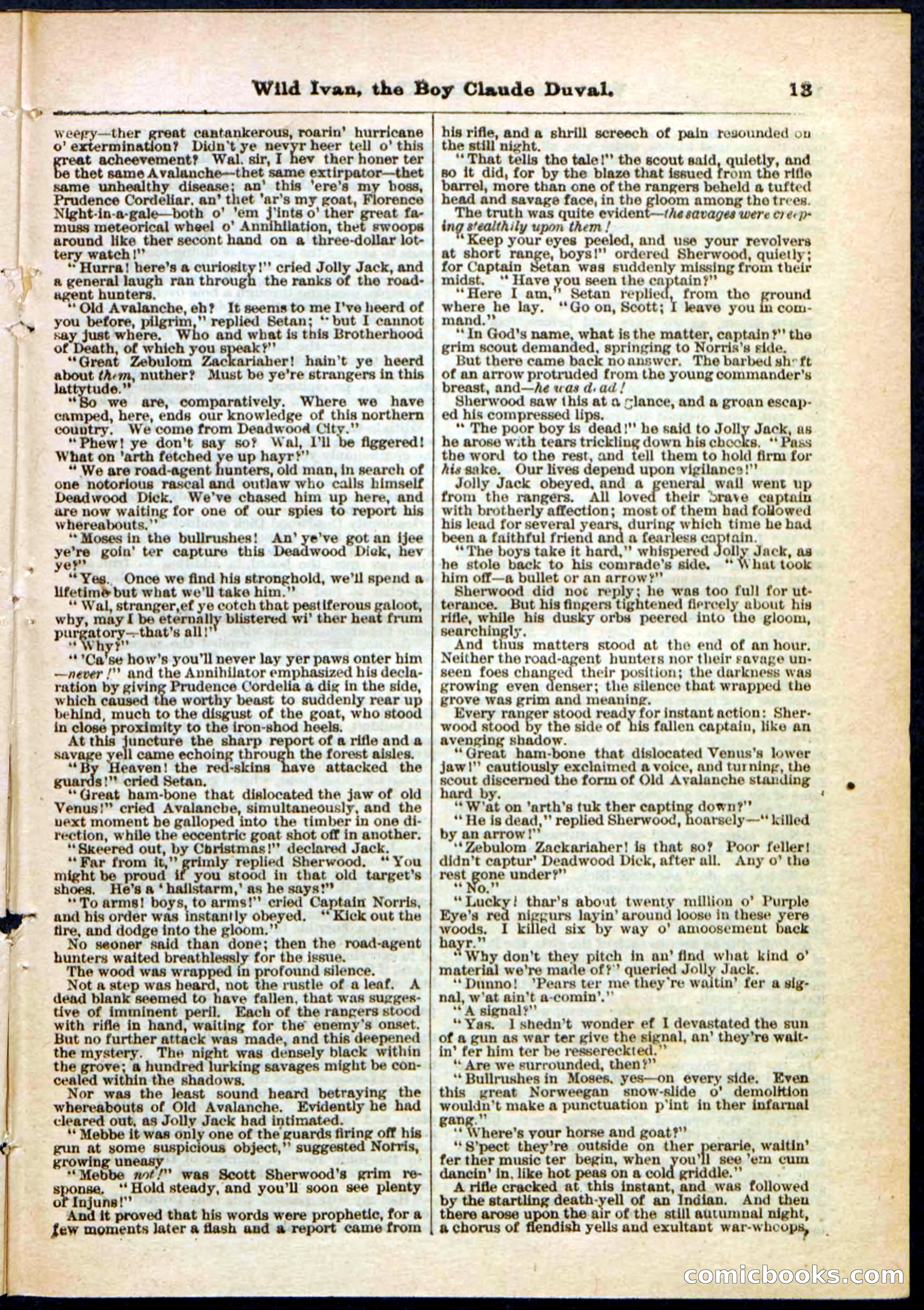 Beadle's Pocket Library, Vol. II, No. 14 — page 13 of 32