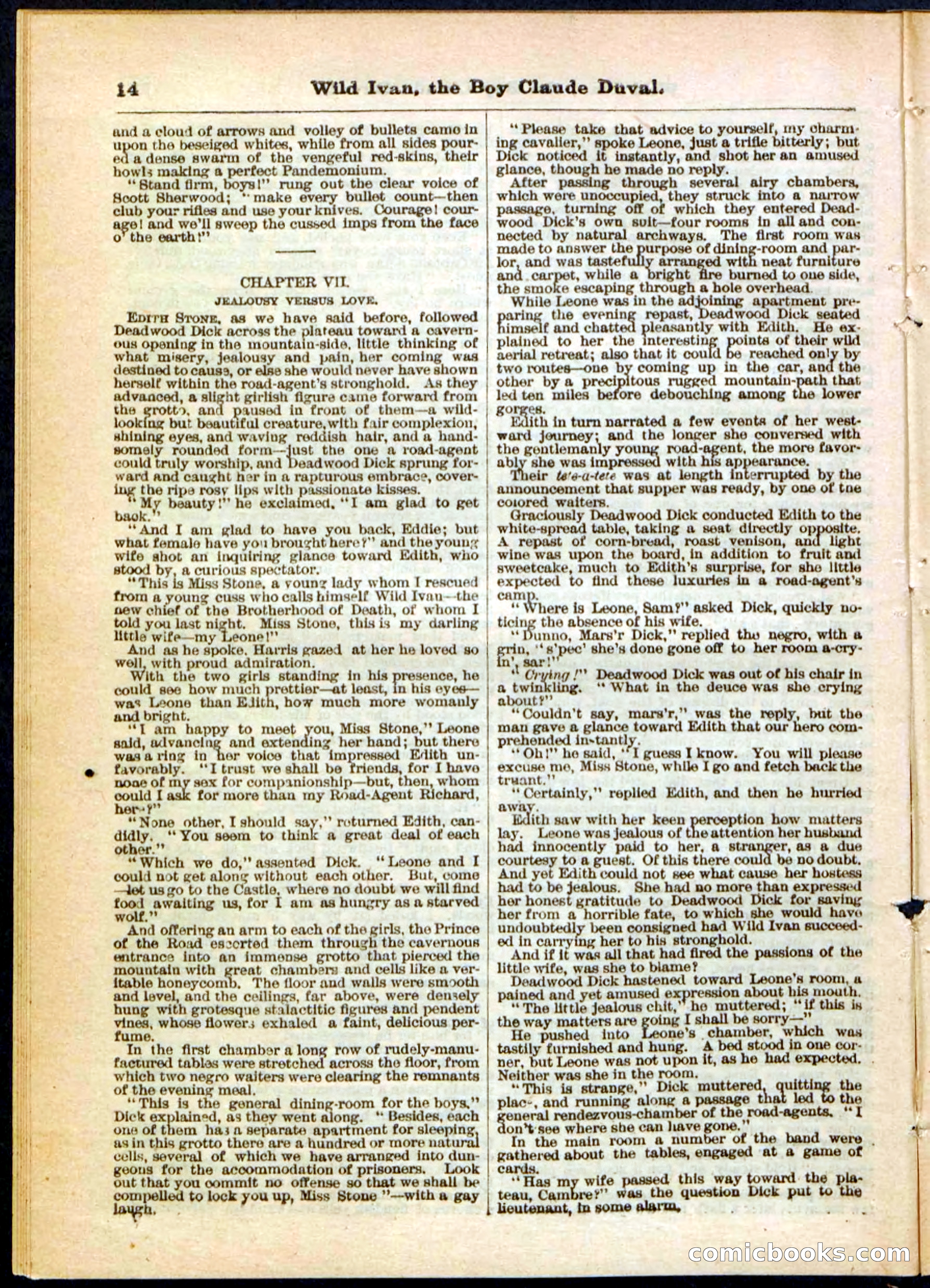 Beadle's Pocket Library, Vol. II, No. 14 — page 14 of 32