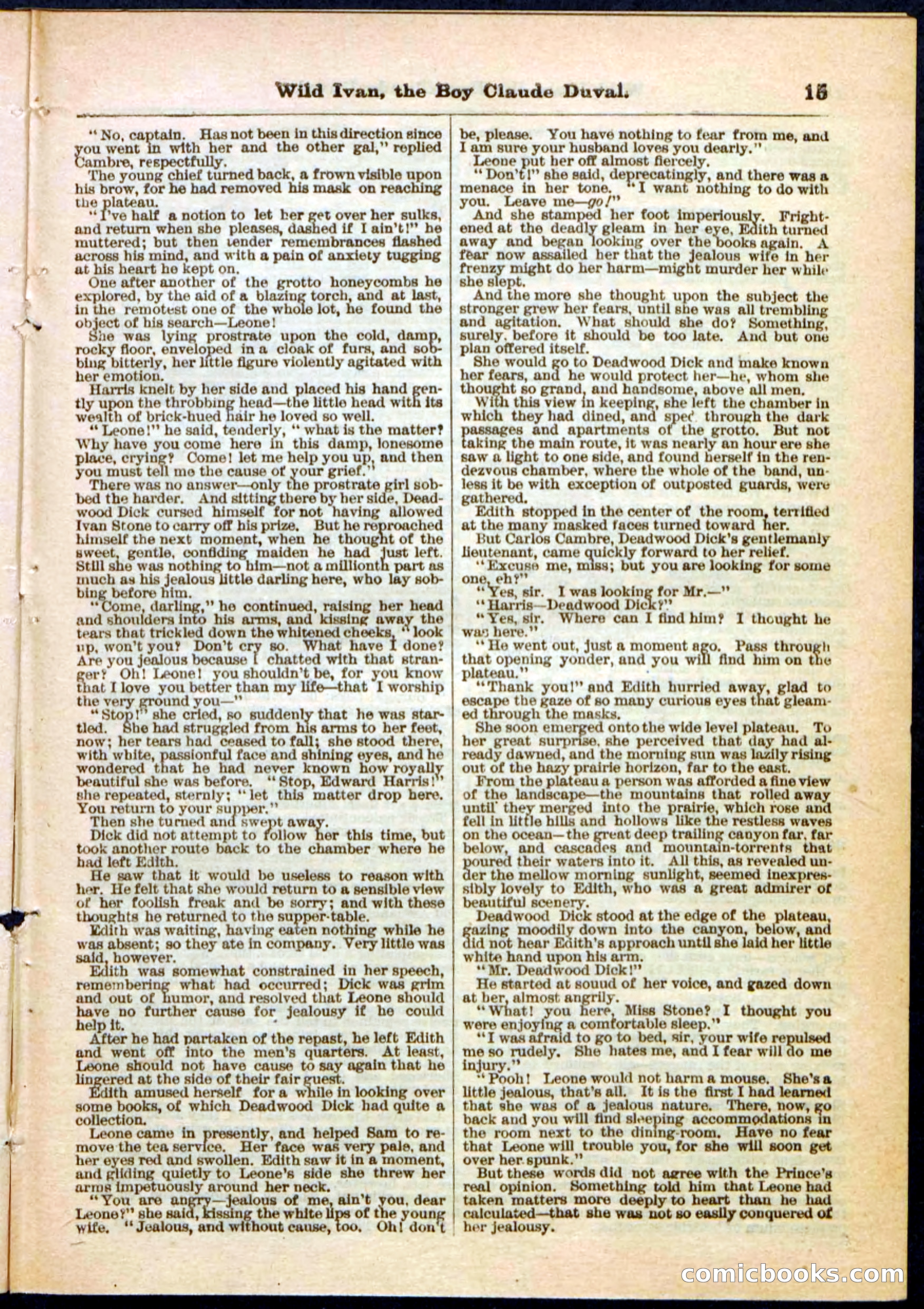 Beadle's Pocket Library, Vol. II, No. 14 — page 15 of 32
