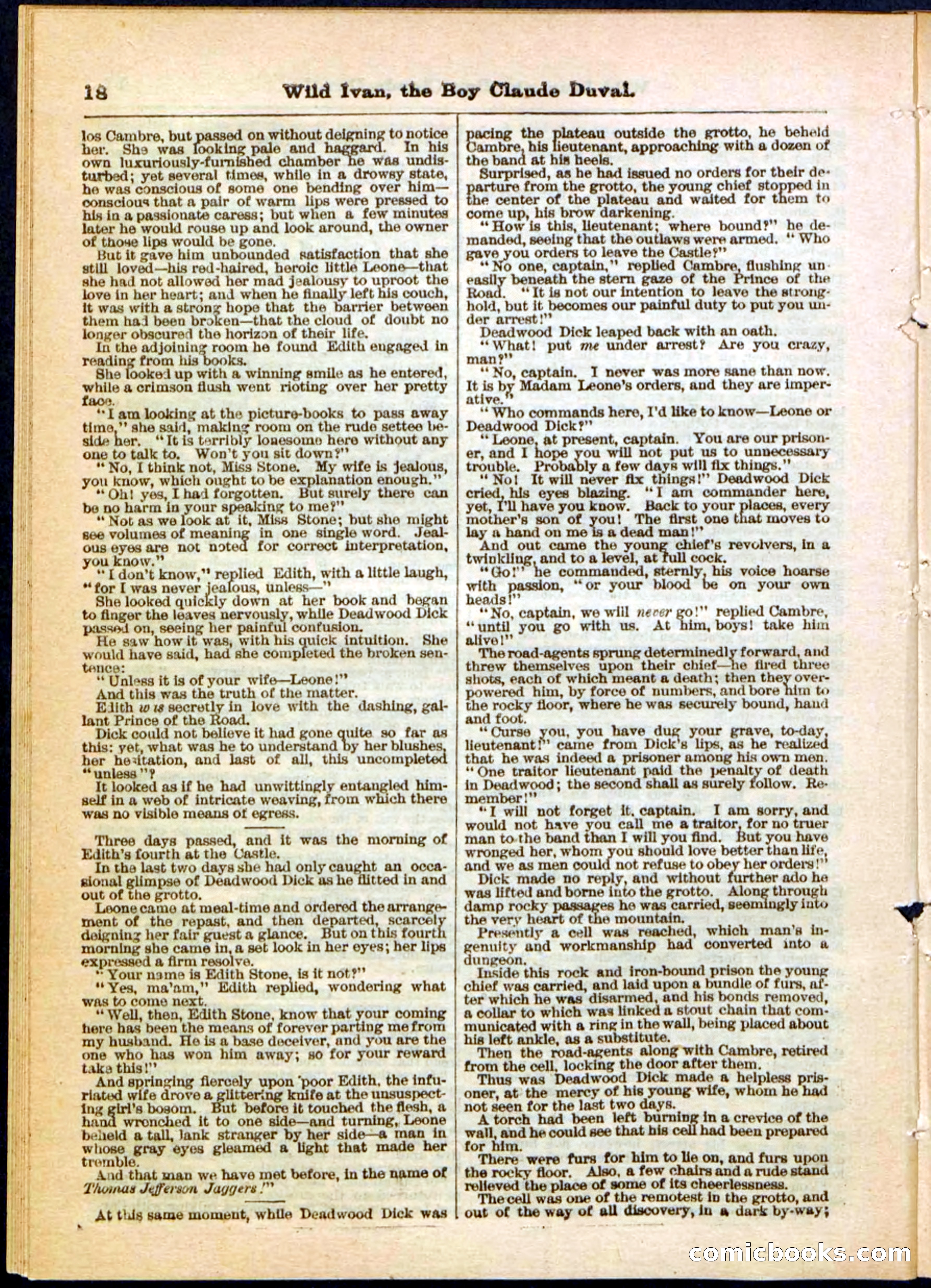 Beadle's Pocket Library, Vol. II, No. 14 — page 18 of 32