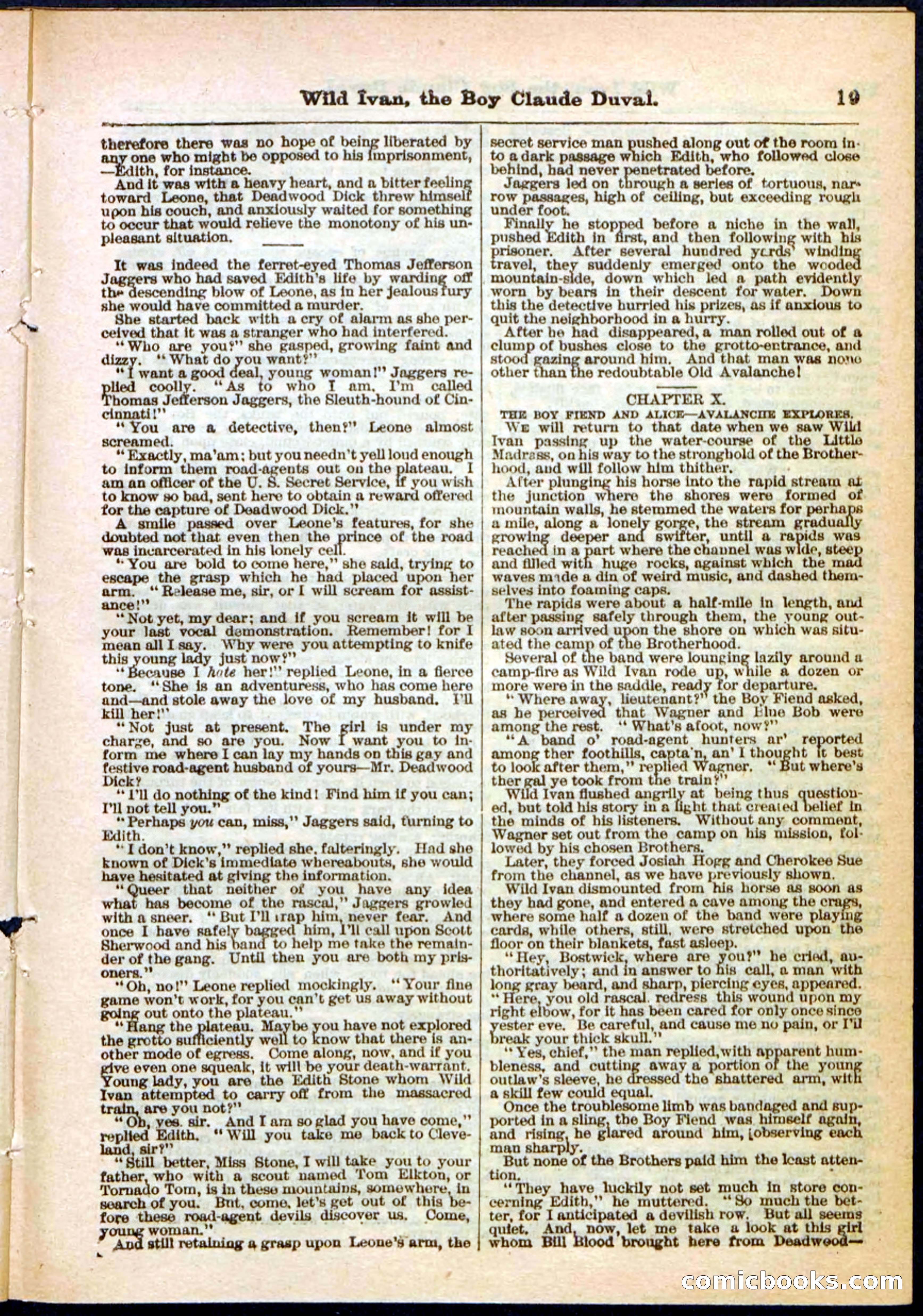 Beadle's Pocket Library, Vol. II, No. 14 — page 19 of 32