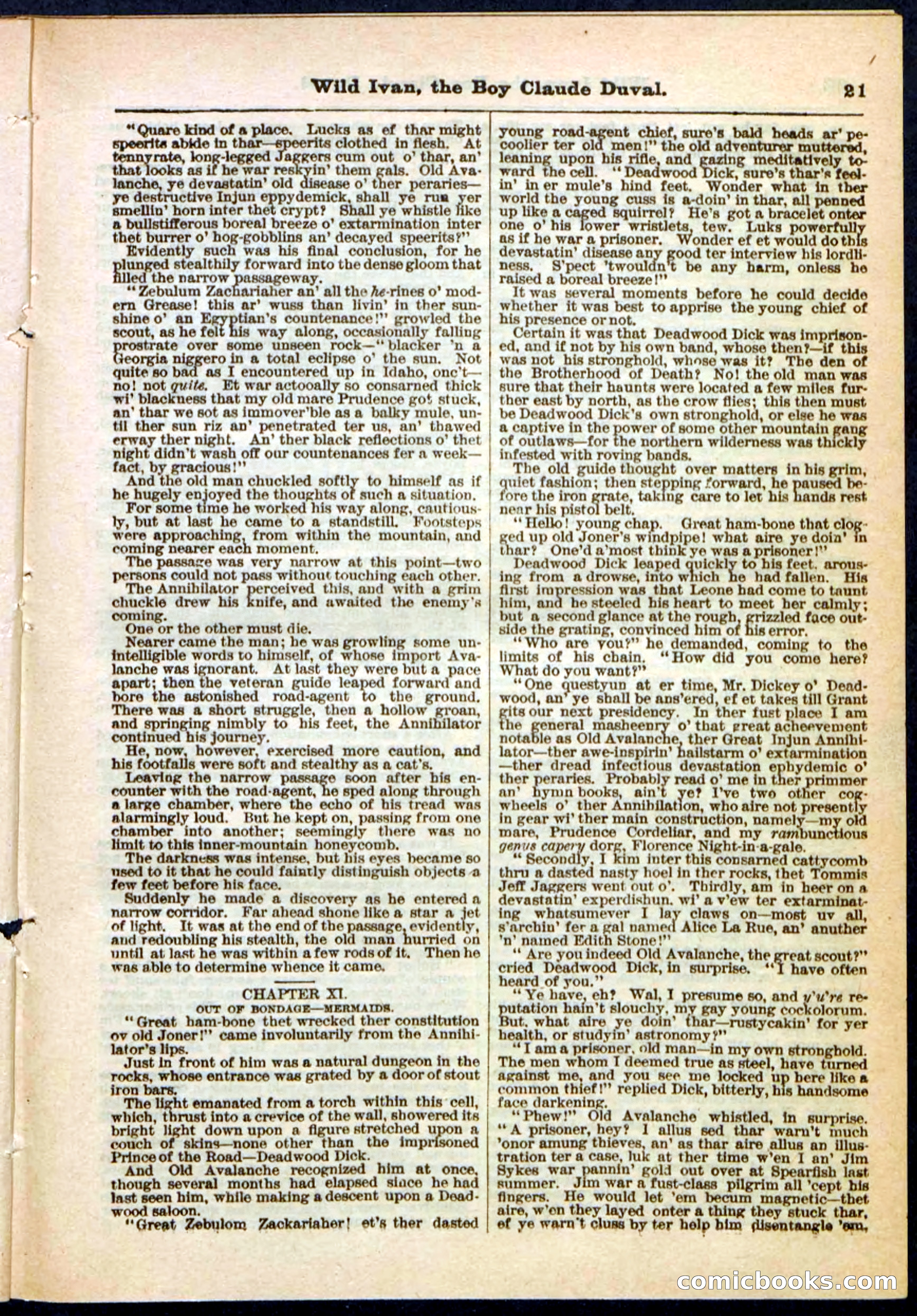 Beadle's Pocket Library, Vol. II, No. 14 — page 21 of 32