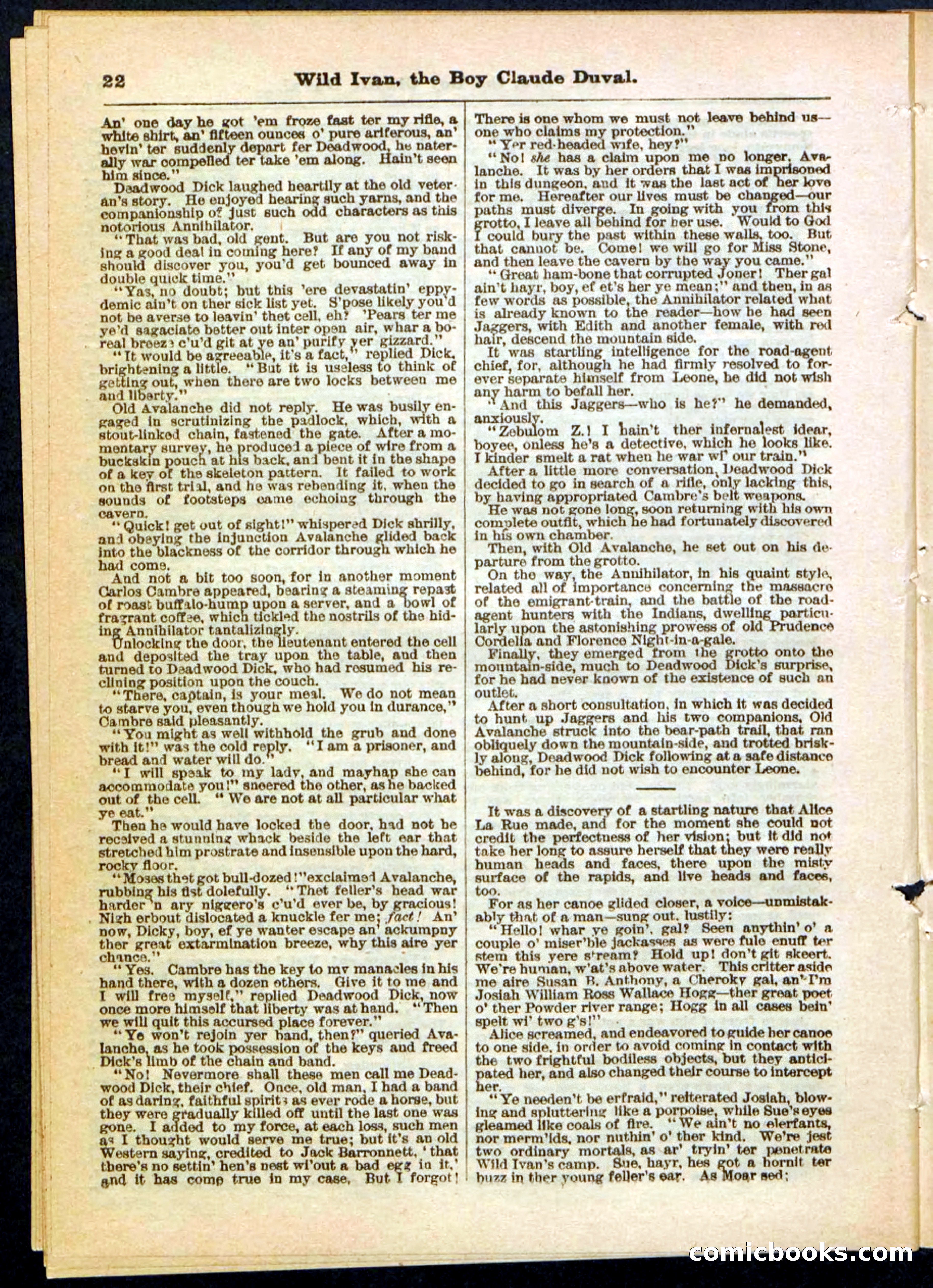 Beadle's Pocket Library, Vol. II, No. 14 — page 22 of 32