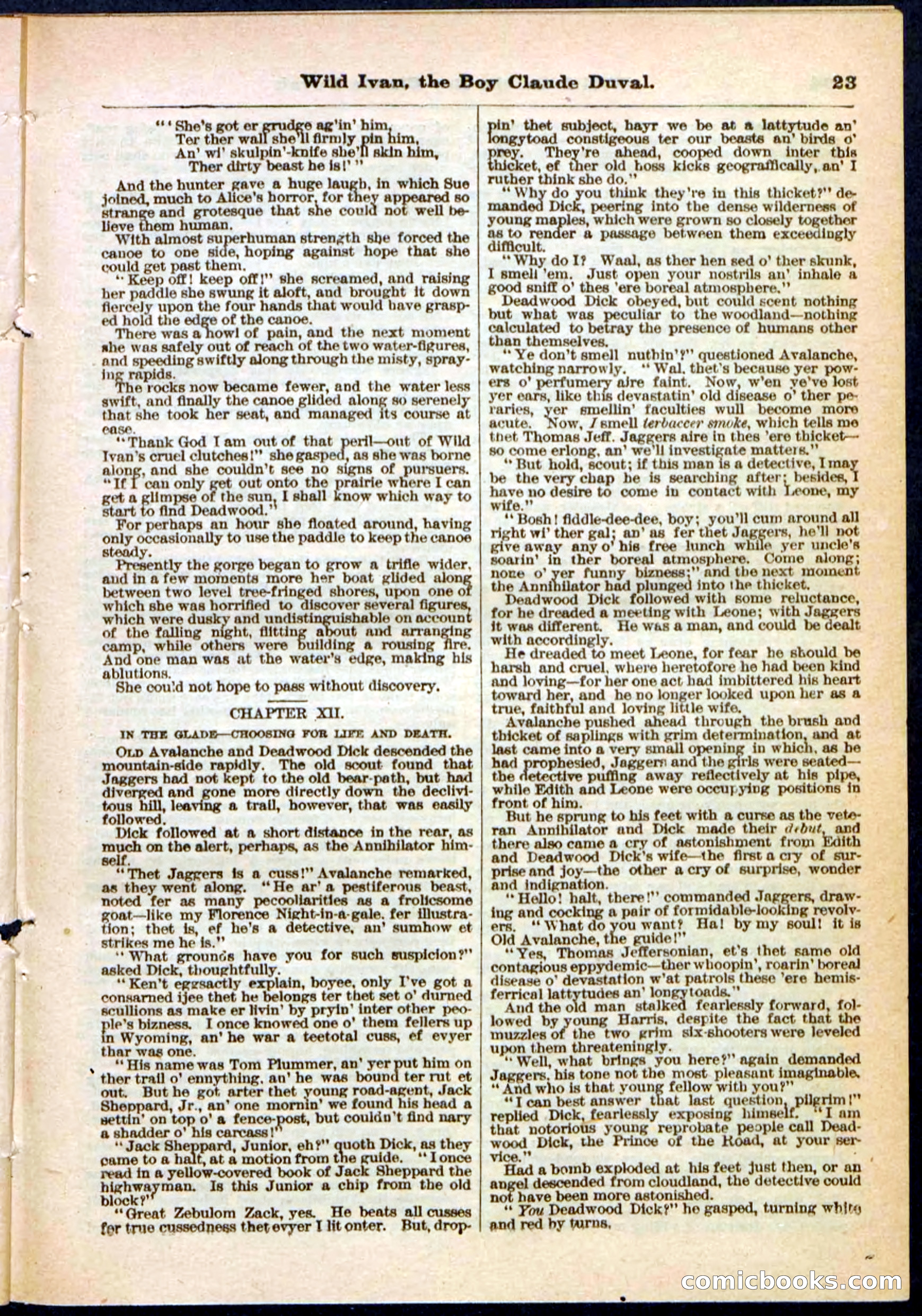 Beadle's Pocket Library, Vol. II, No. 14 — page 23 of 32