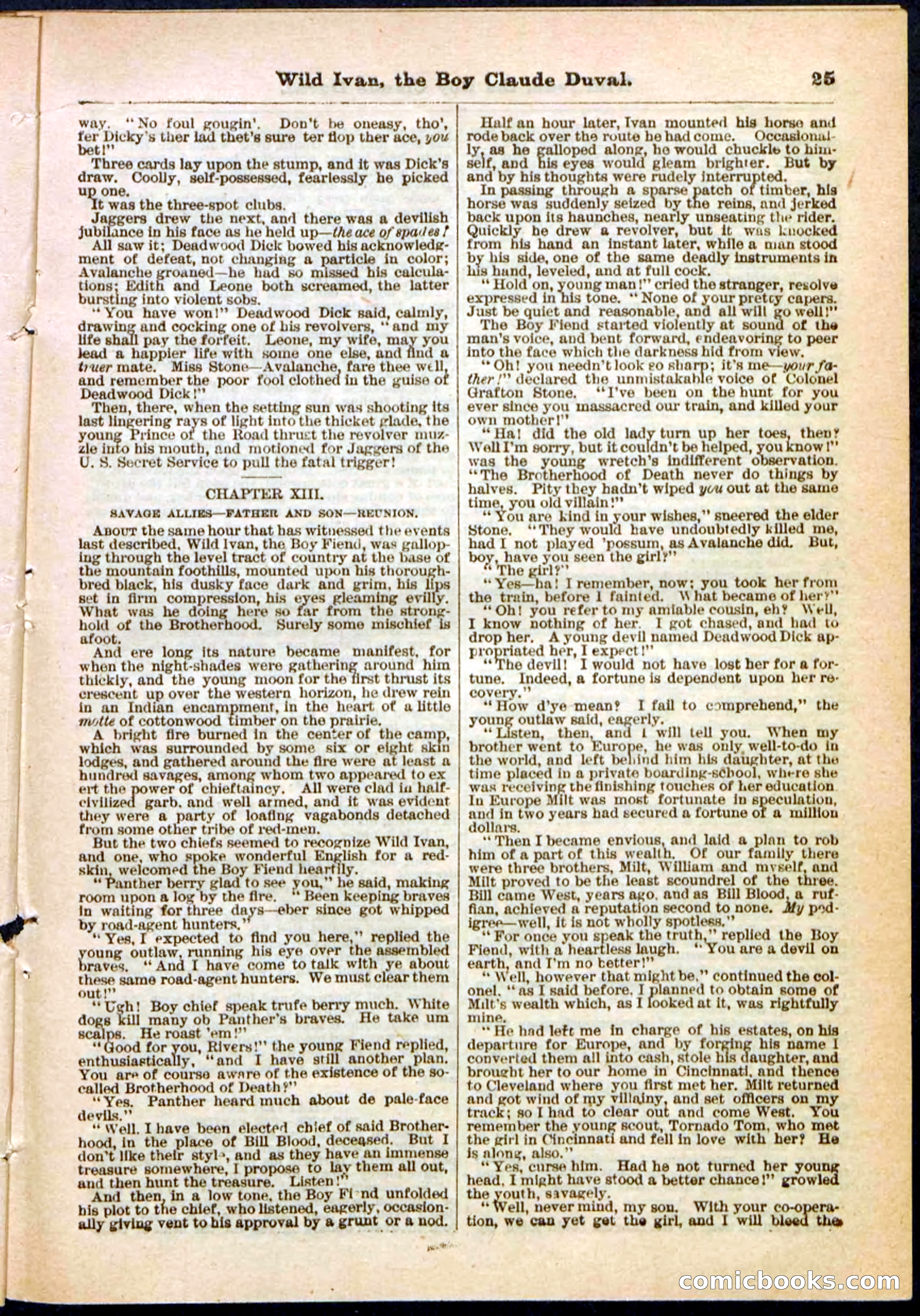Beadle's Pocket Library, Vol. II, No. 14 — page 25 of 32