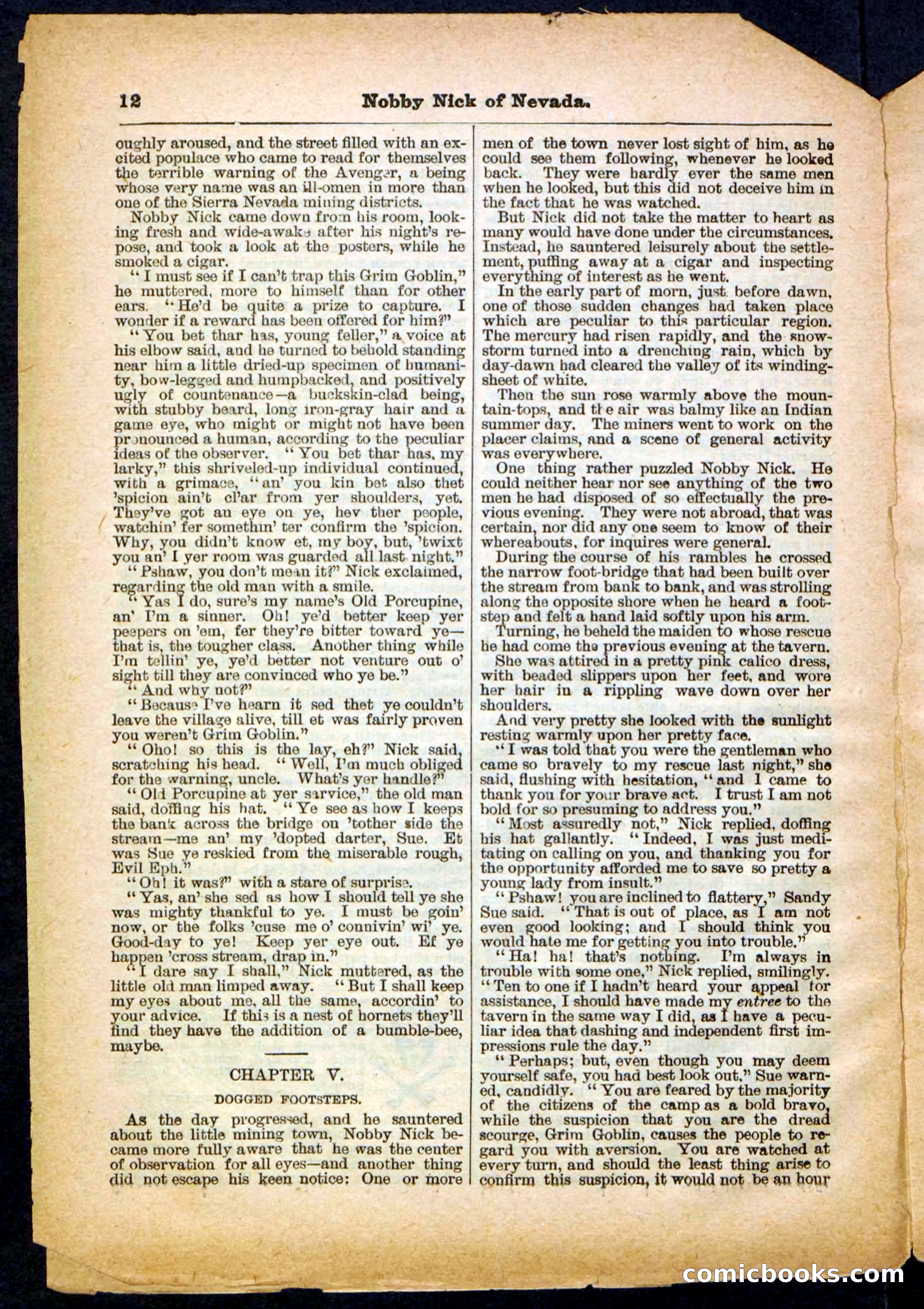 Beadle's Pocket Library No. 147 — page 12 of 32