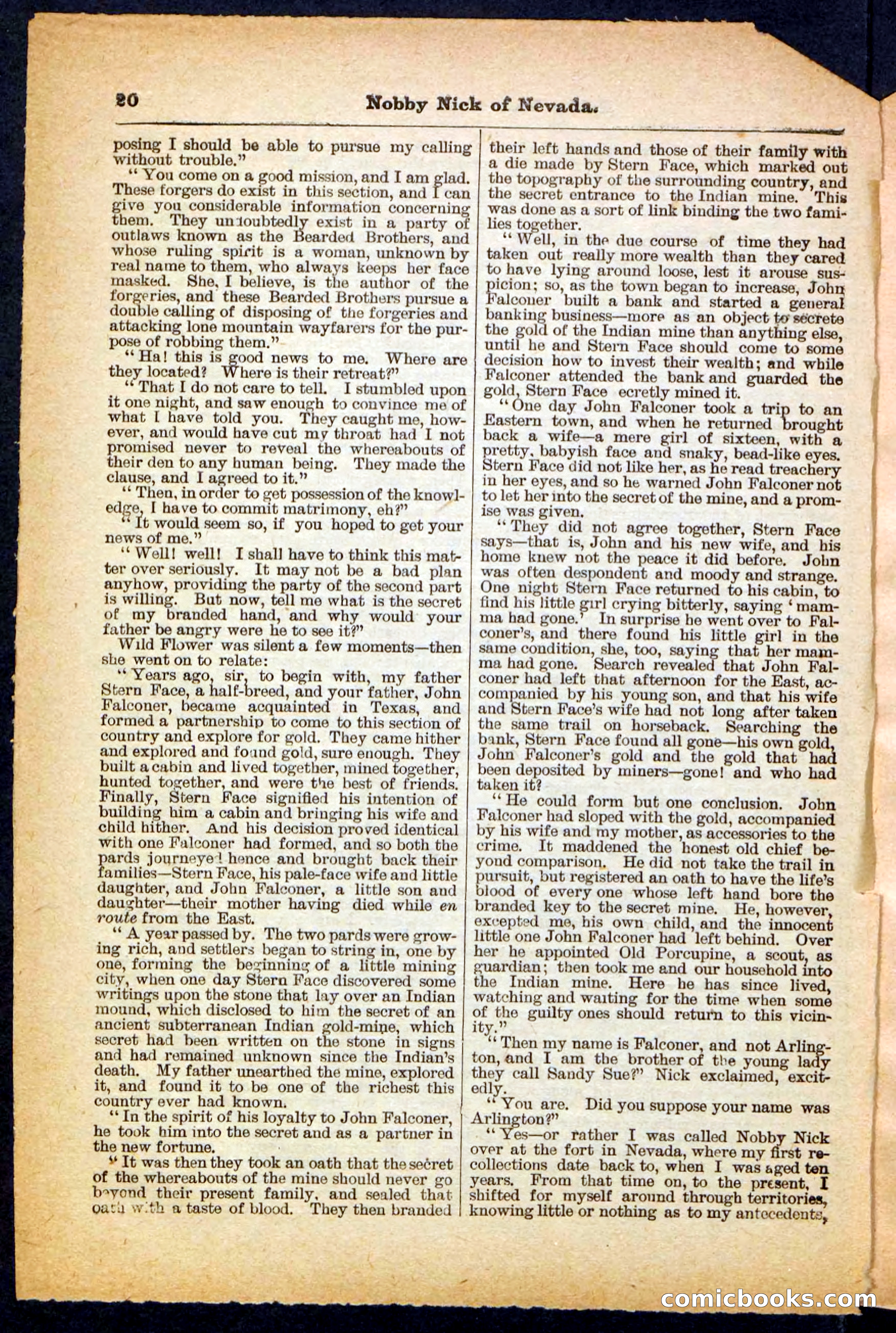 Beadle's Pocket Library No. 147 — page 20 of 32