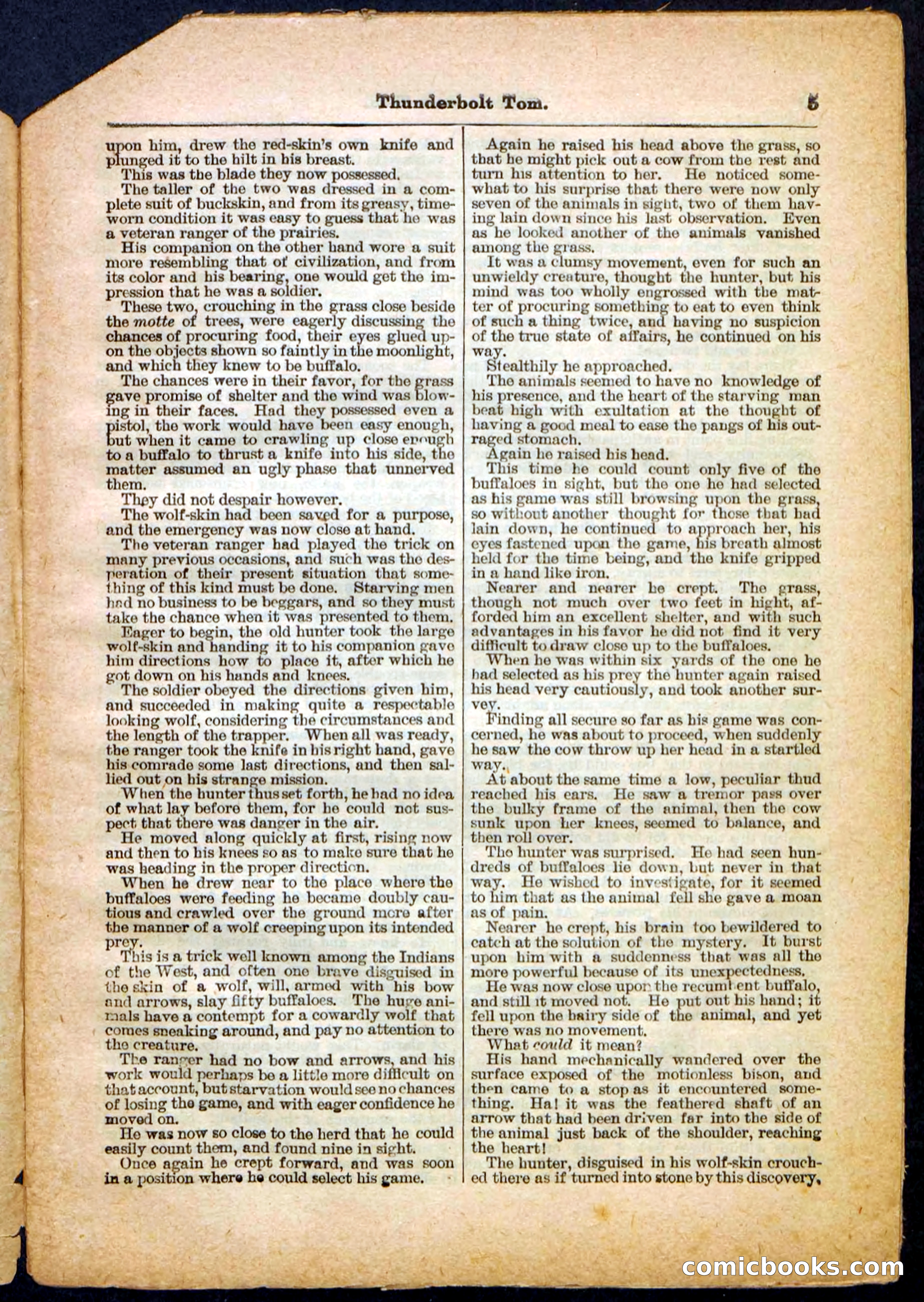 Beadle's Pocket Library No. 148 — page 5 of 32