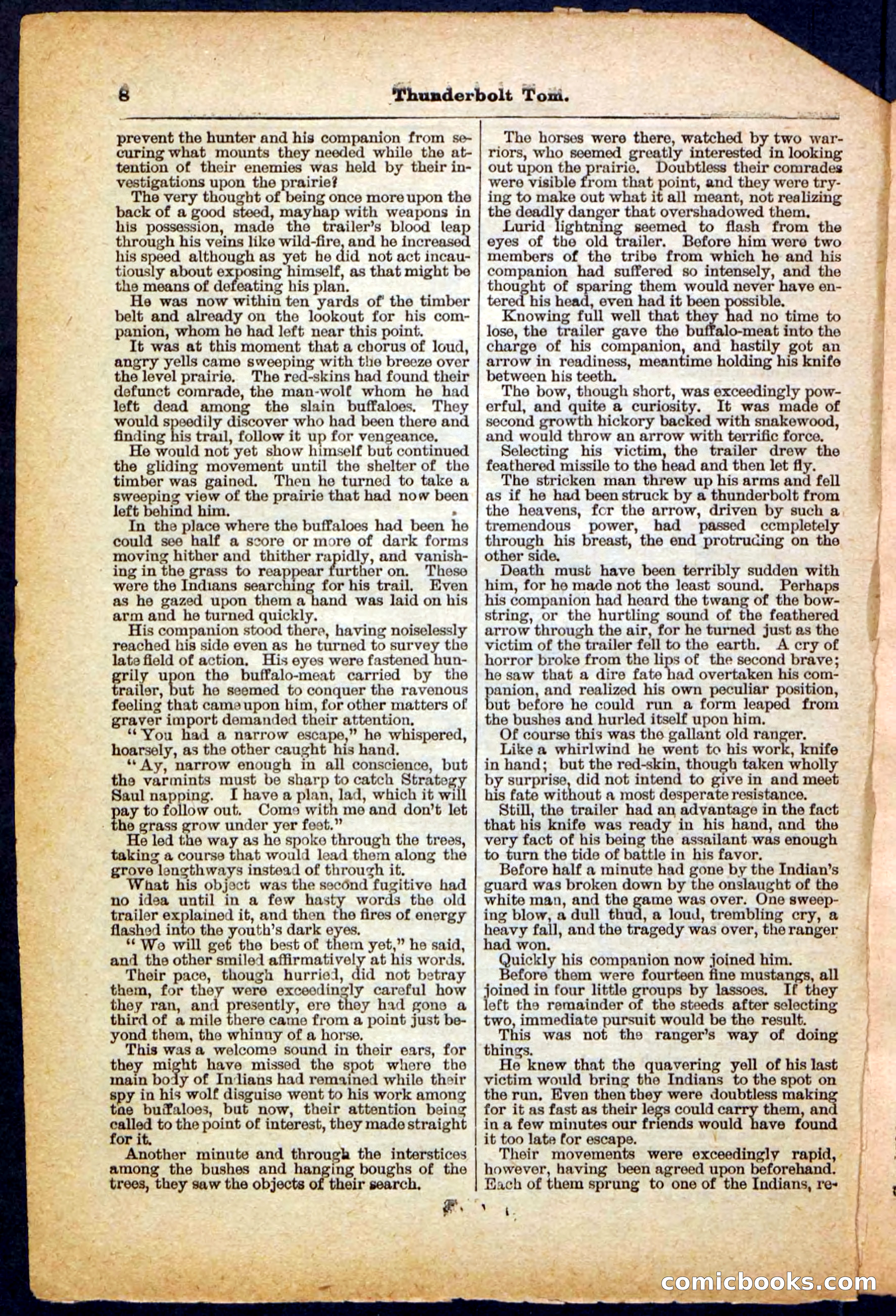 Beadle's Pocket Library No. 148 — page 8 of 32