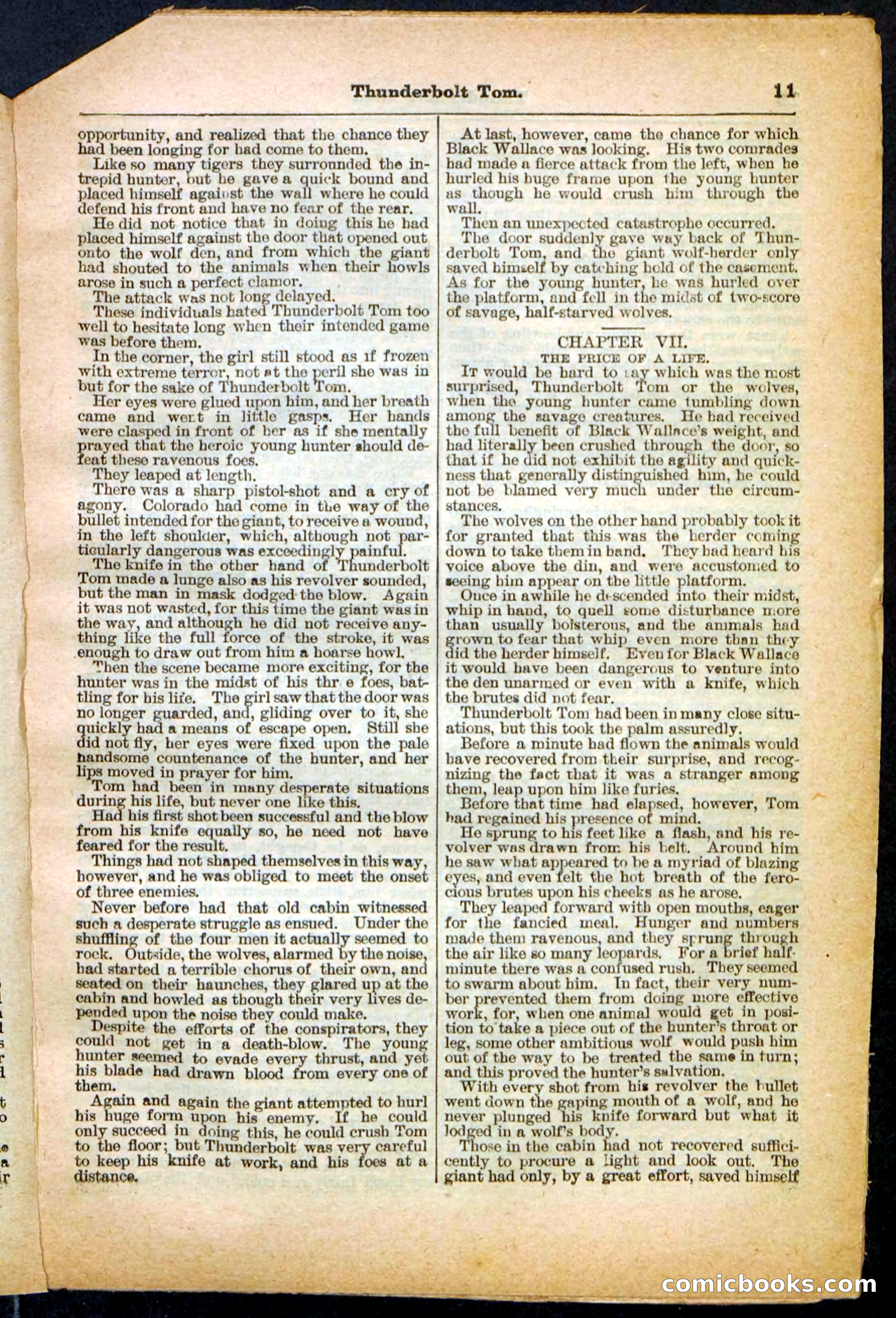 Beadle's Pocket Library No. 148 — page 11 of 32