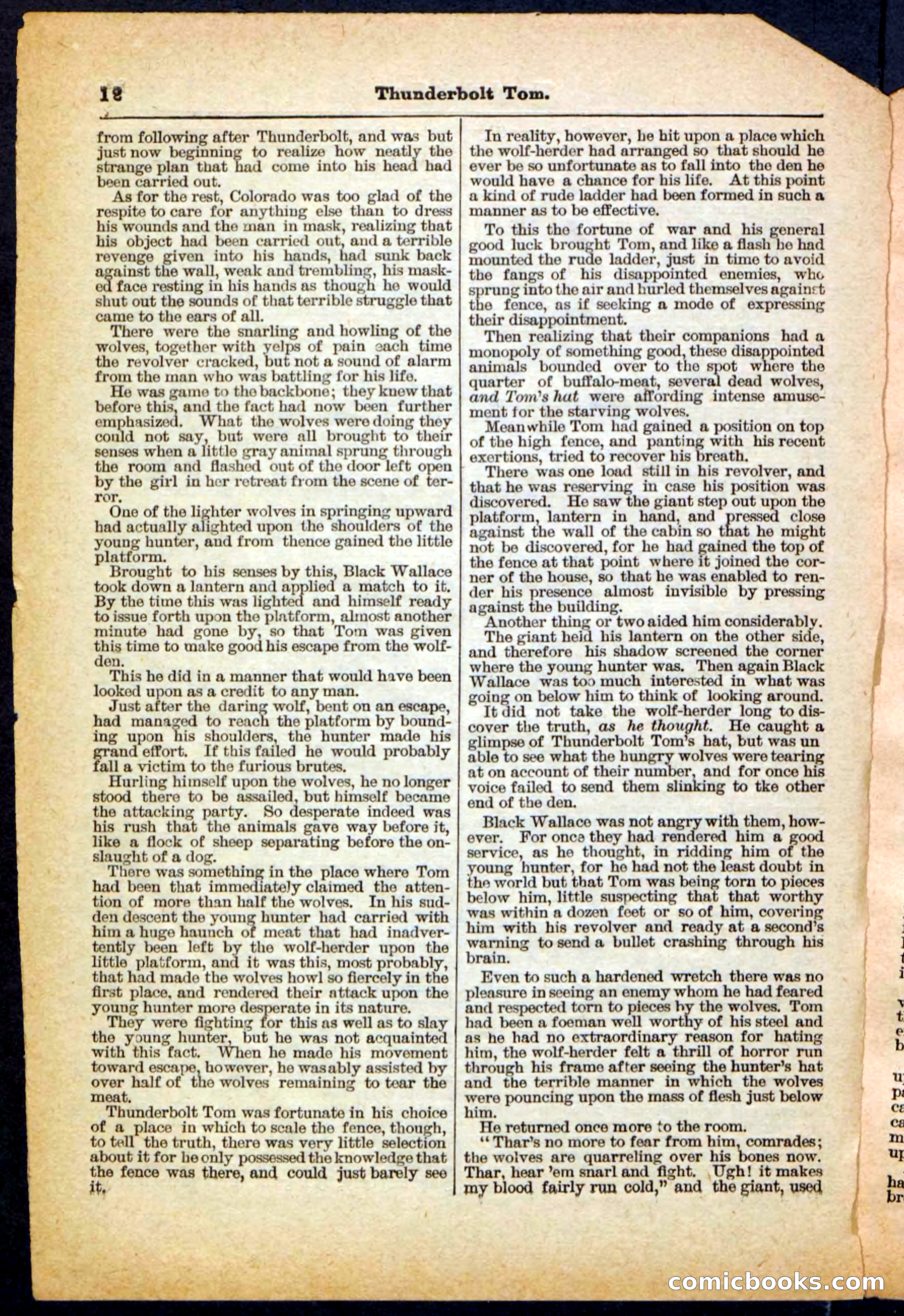 Beadle's Pocket Library No. 148 — page 12 of 32
