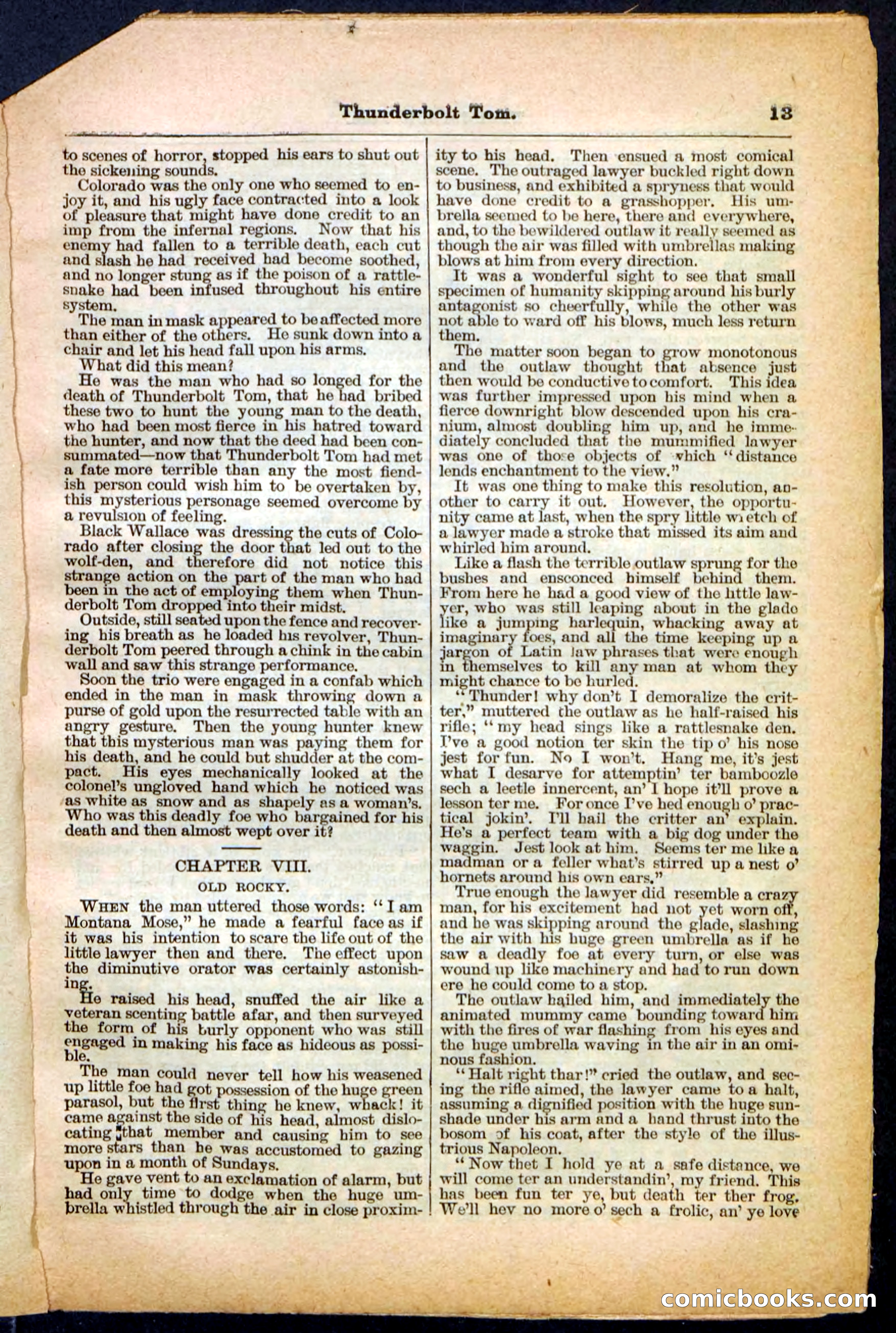 Beadle's Pocket Library No. 148 — page 13 of 32