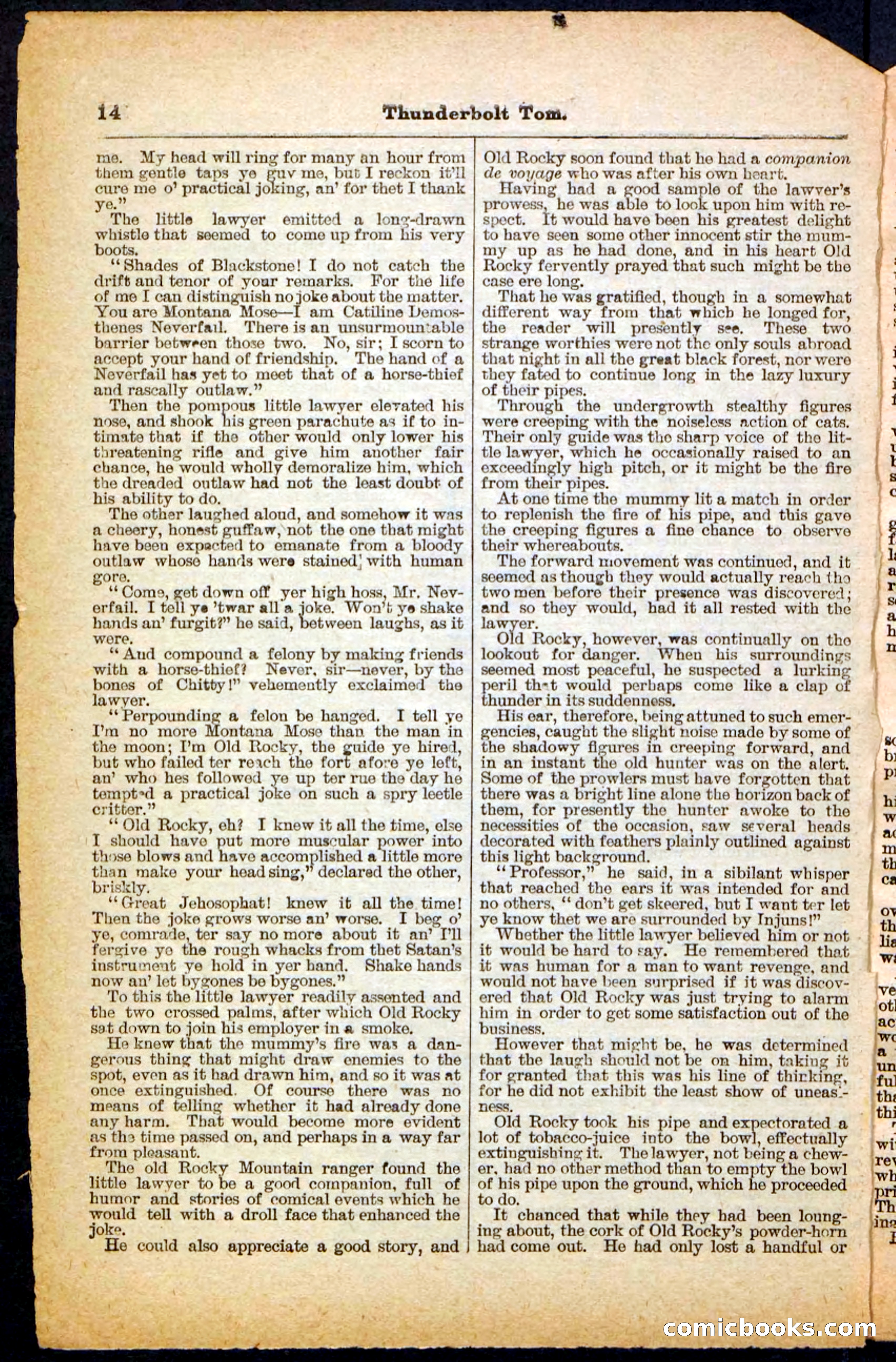 Beadle's Pocket Library No. 148 — page 14 of 32