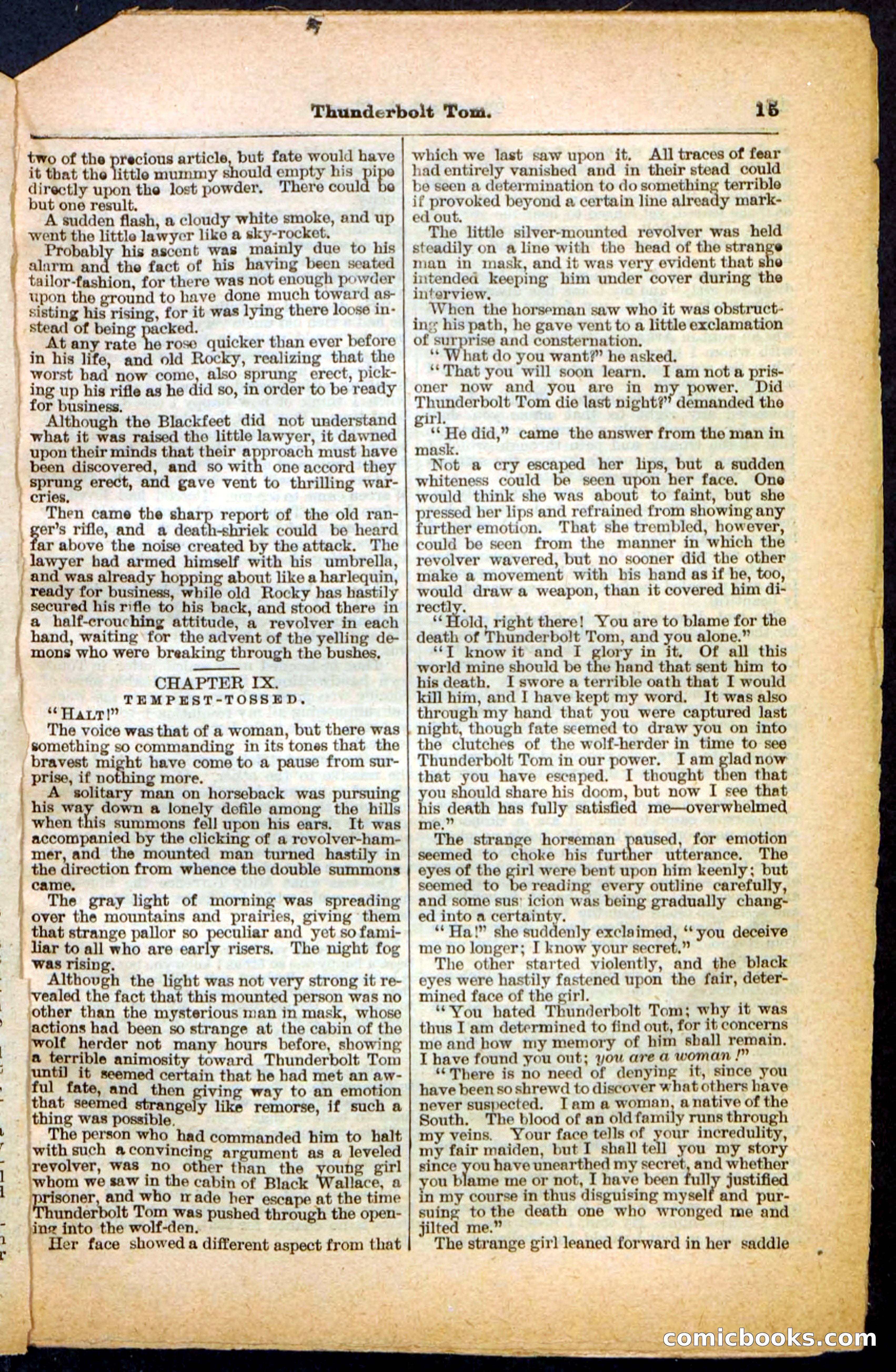 Beadle's Pocket Library No. 148 — page 15 of 32