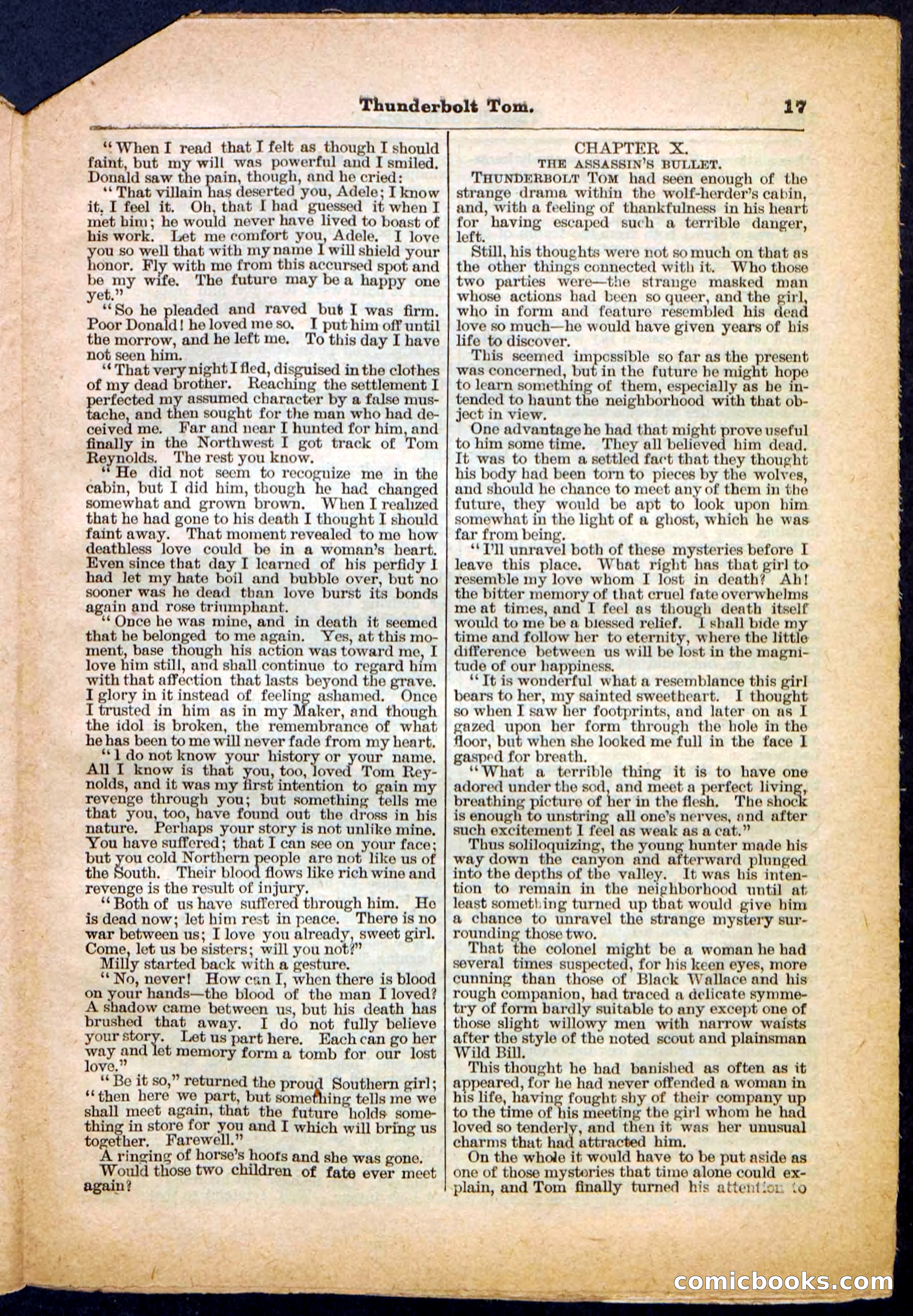 Beadle's Pocket Library No. 148 — page 17 of 32