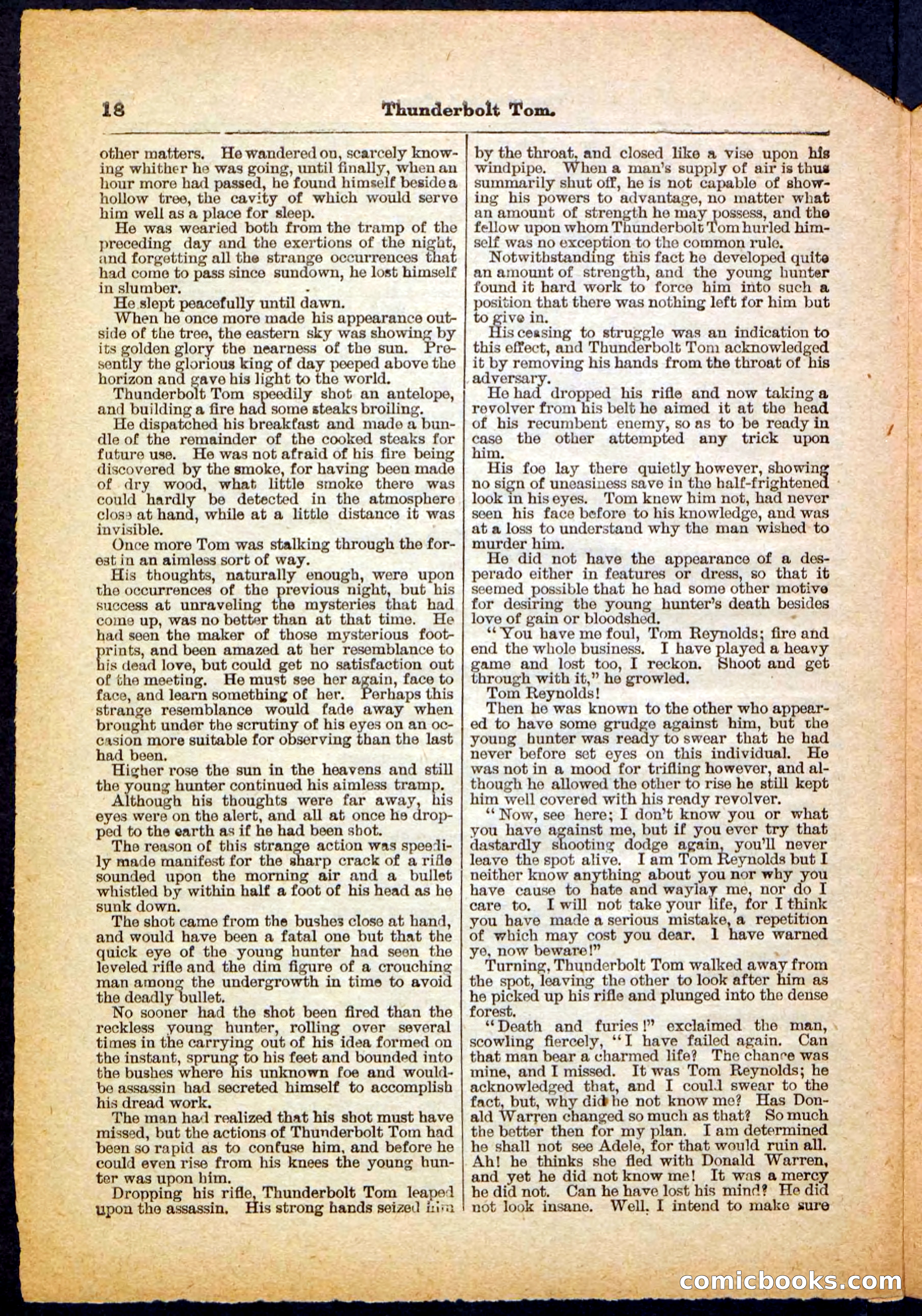 Beadle's Pocket Library No. 148 — page 18 of 32