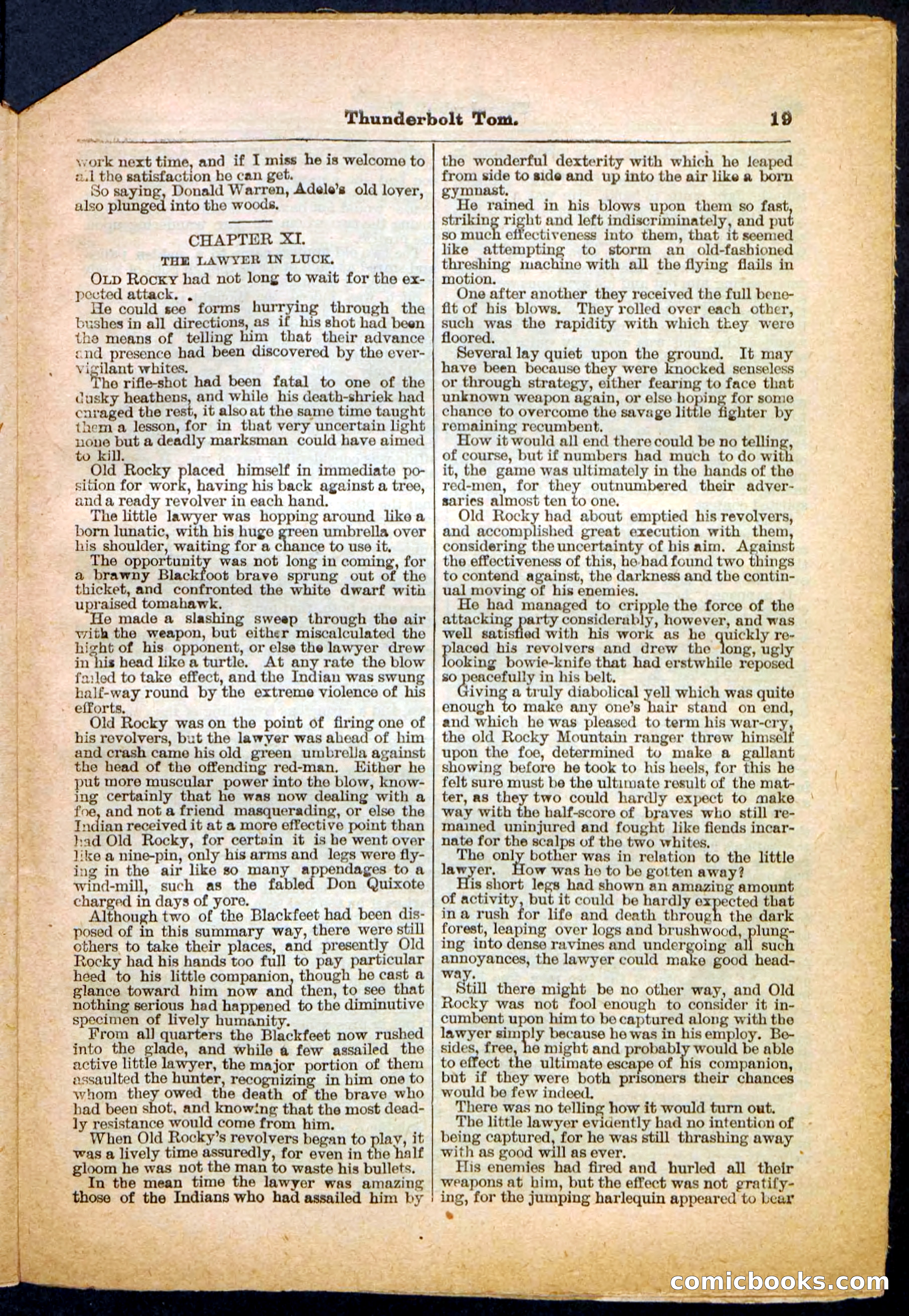 Beadle's Pocket Library No. 148 — page 19 of 32
