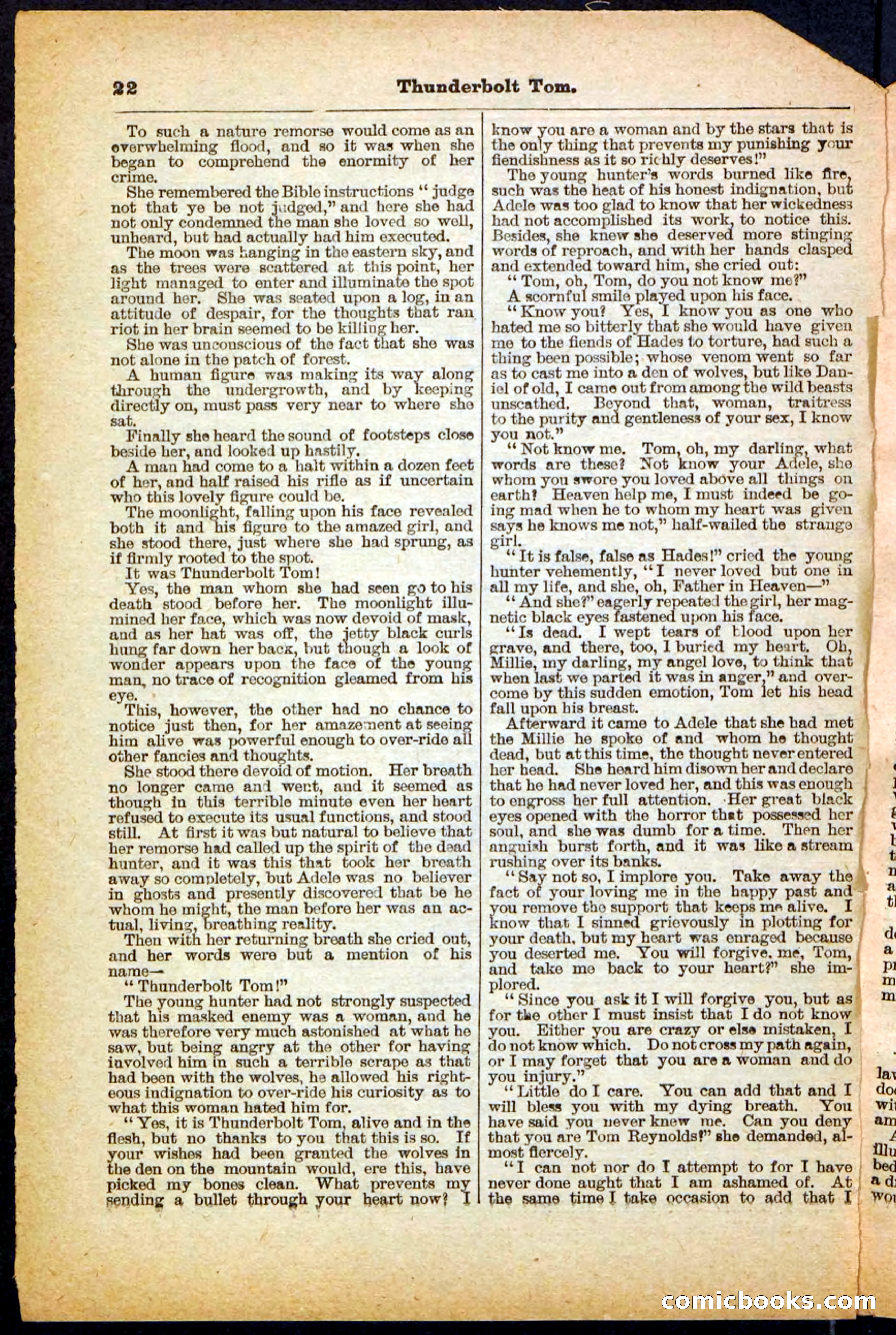 Beadle's Pocket Library No. 148 — page 22 of 32