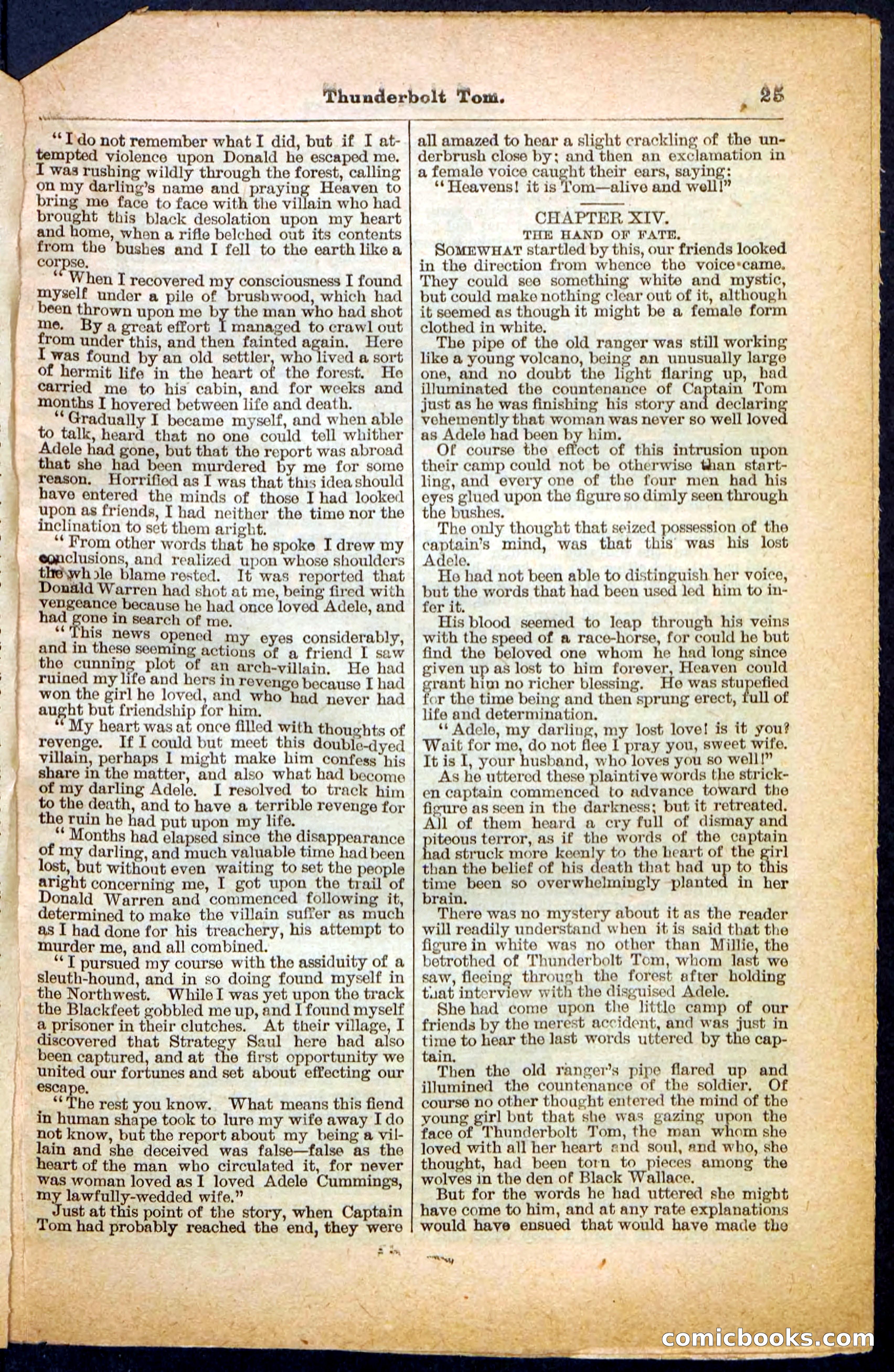 Beadle's Pocket Library No. 148 — page 25 of 32